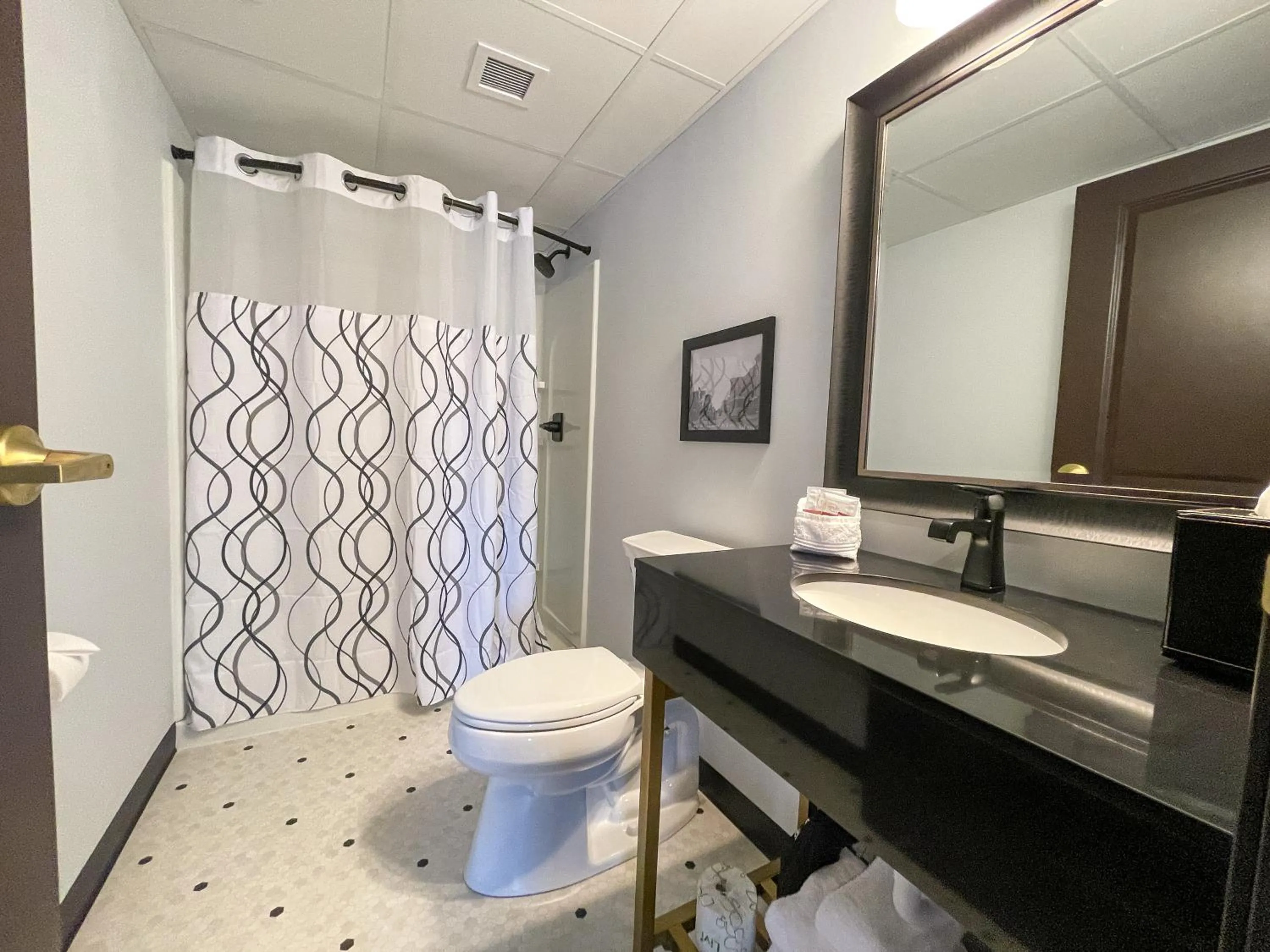 Bathroom in The Alonzo Ward Hotel