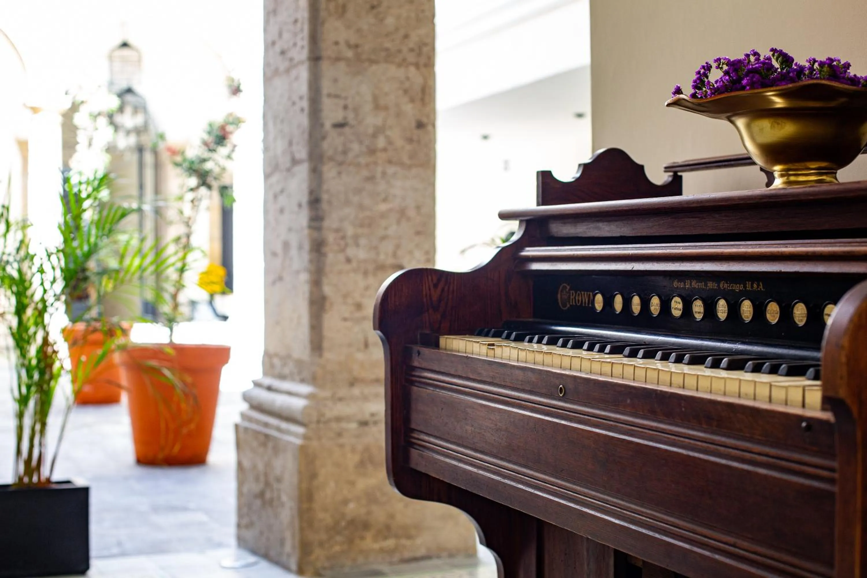 Decorative detail in Palpatio Hotel Boutique