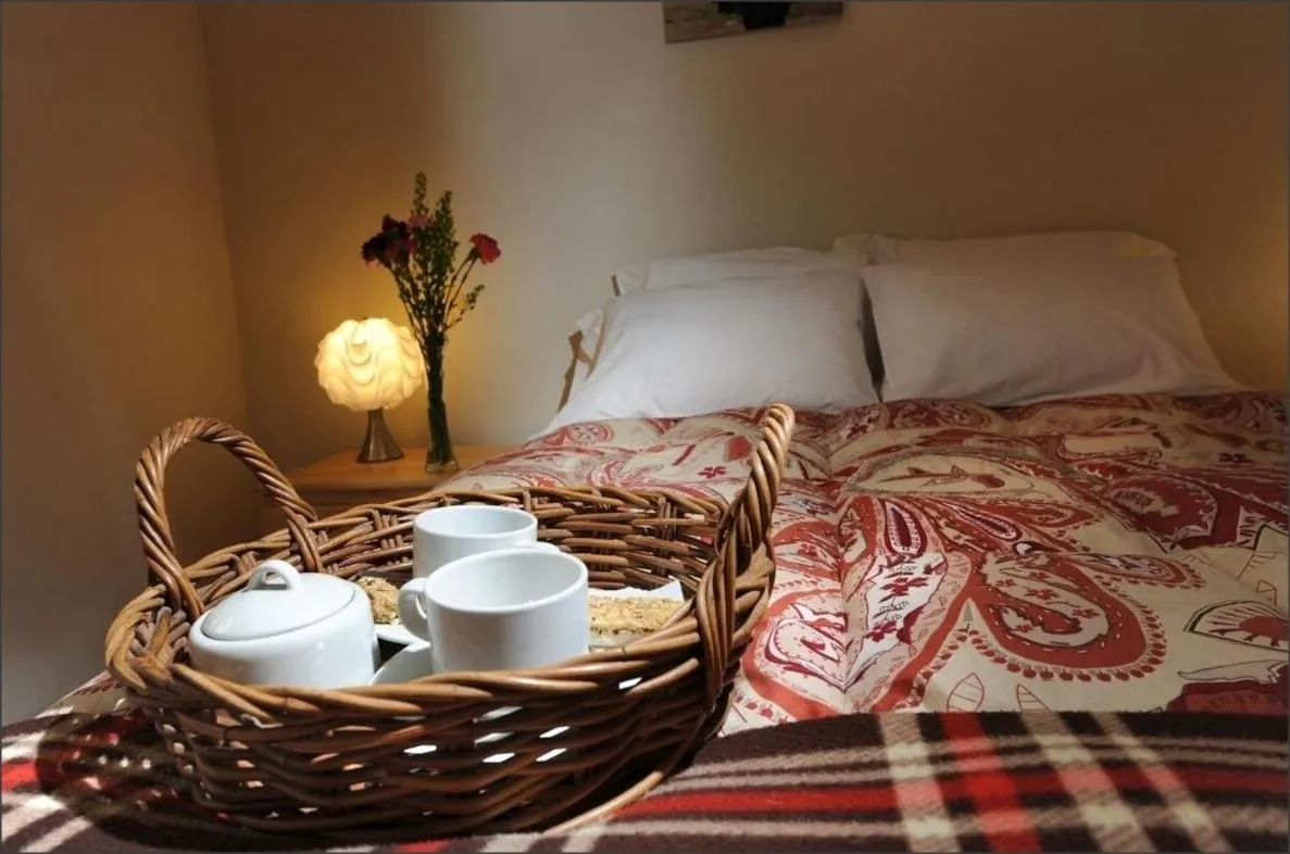 Bed in Bear Packer Hostel