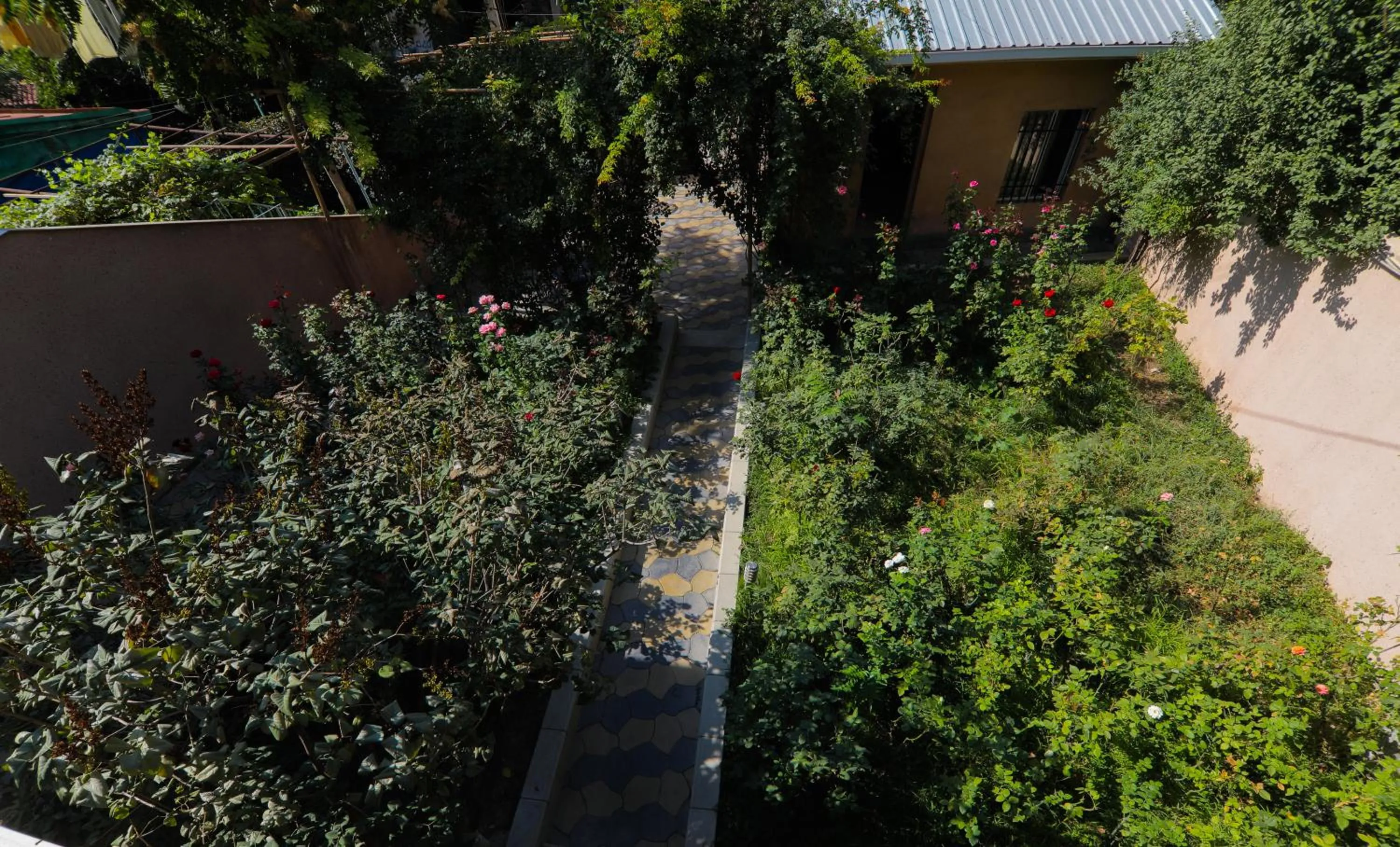 Spring in Comfort House Hotel