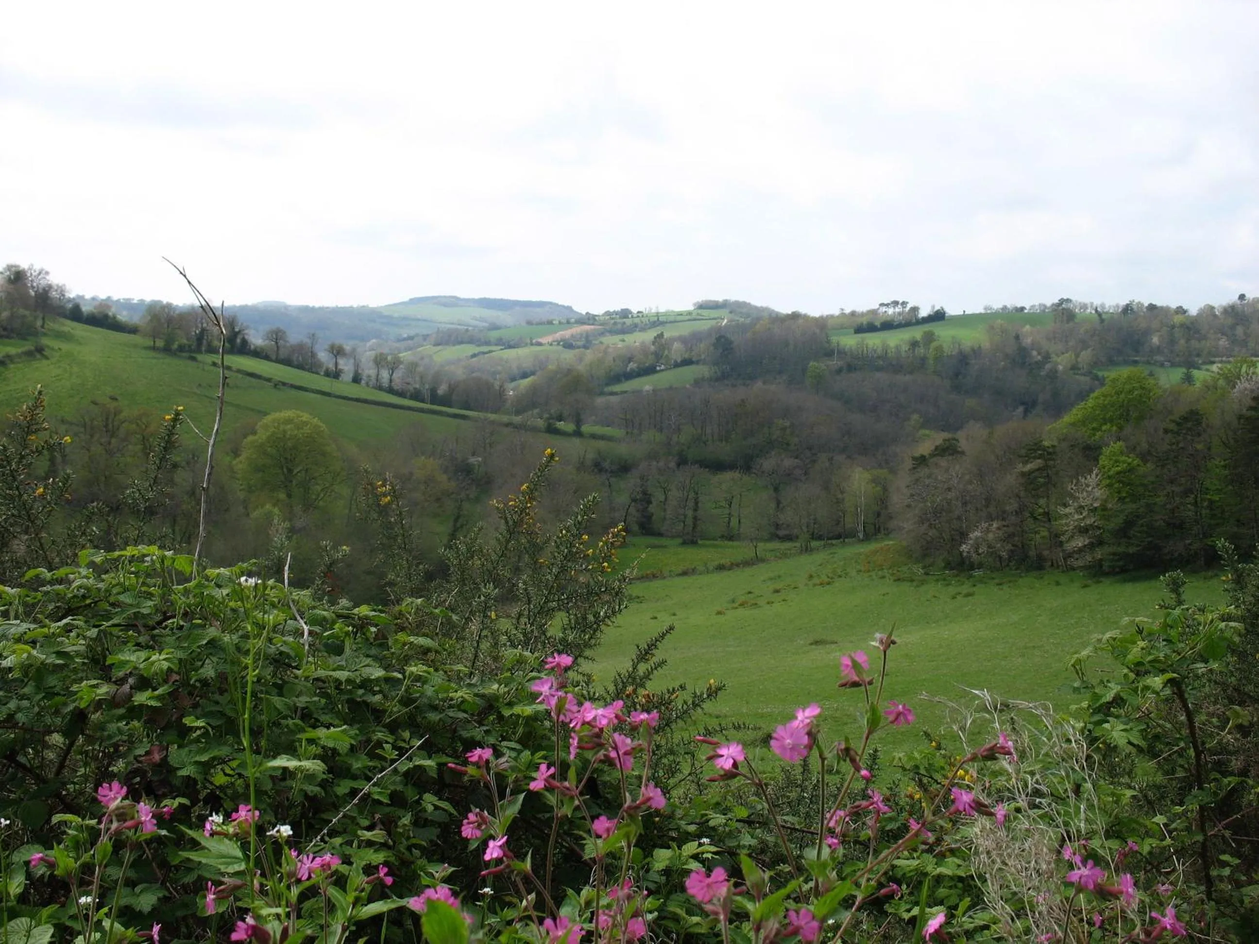 Area and facilities in Le Moulin du Barthas