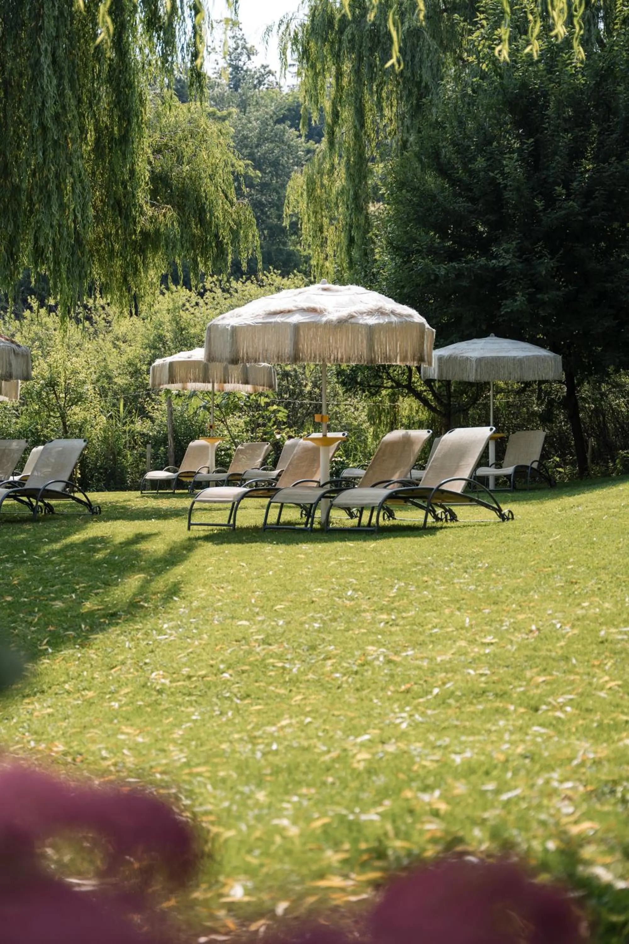 Garden in Gartenhotel Moser