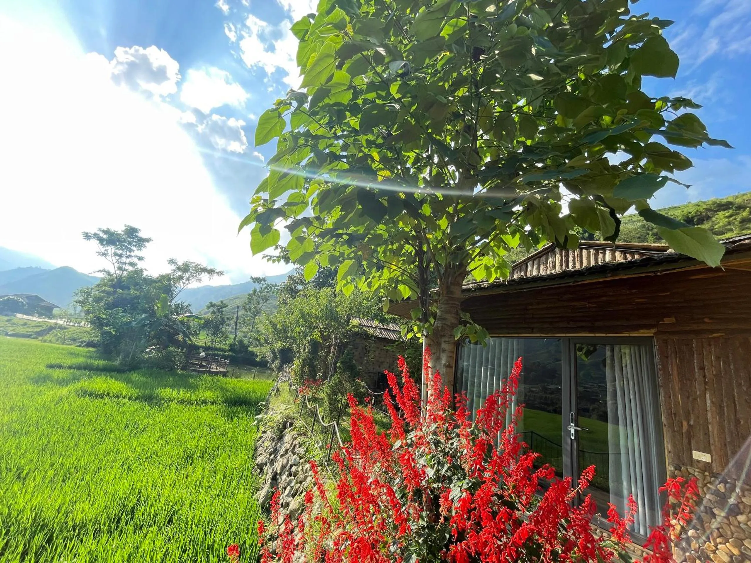Natural landscape in Sapa Bamboo Eco