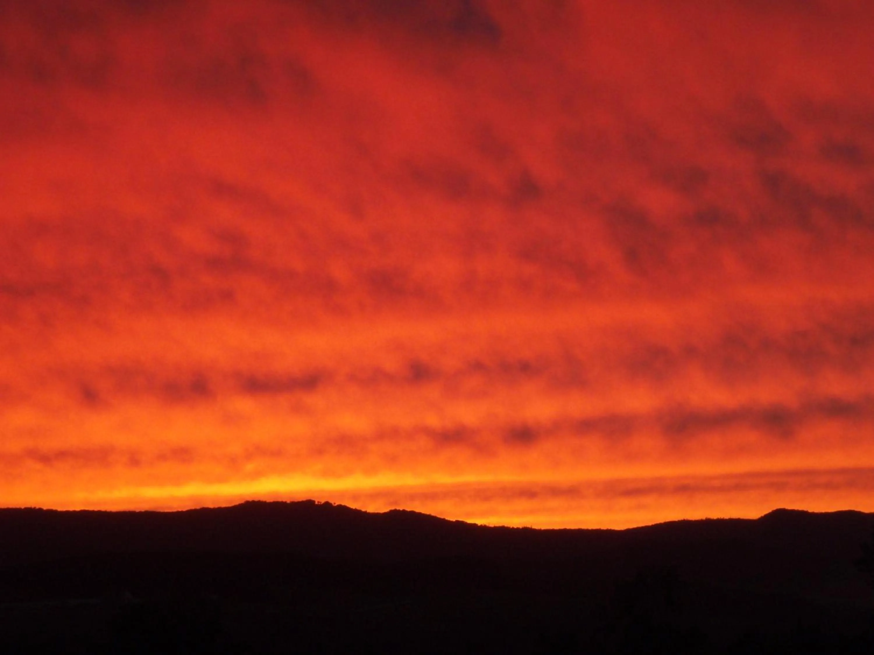 Other in Pension Landscape Furano