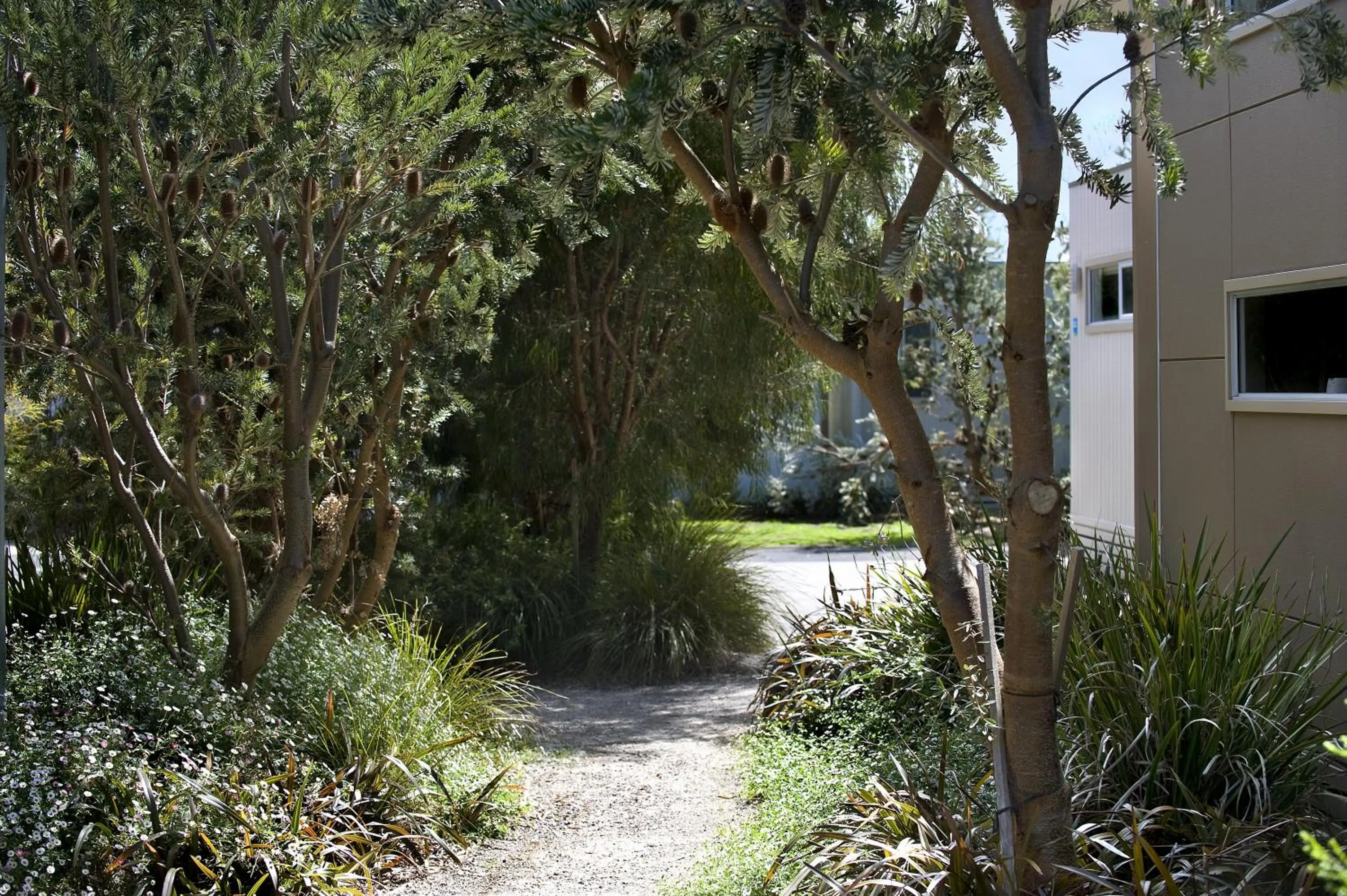 Garden view in BIG4 Ingenia Holidays Queenscliff Beacon