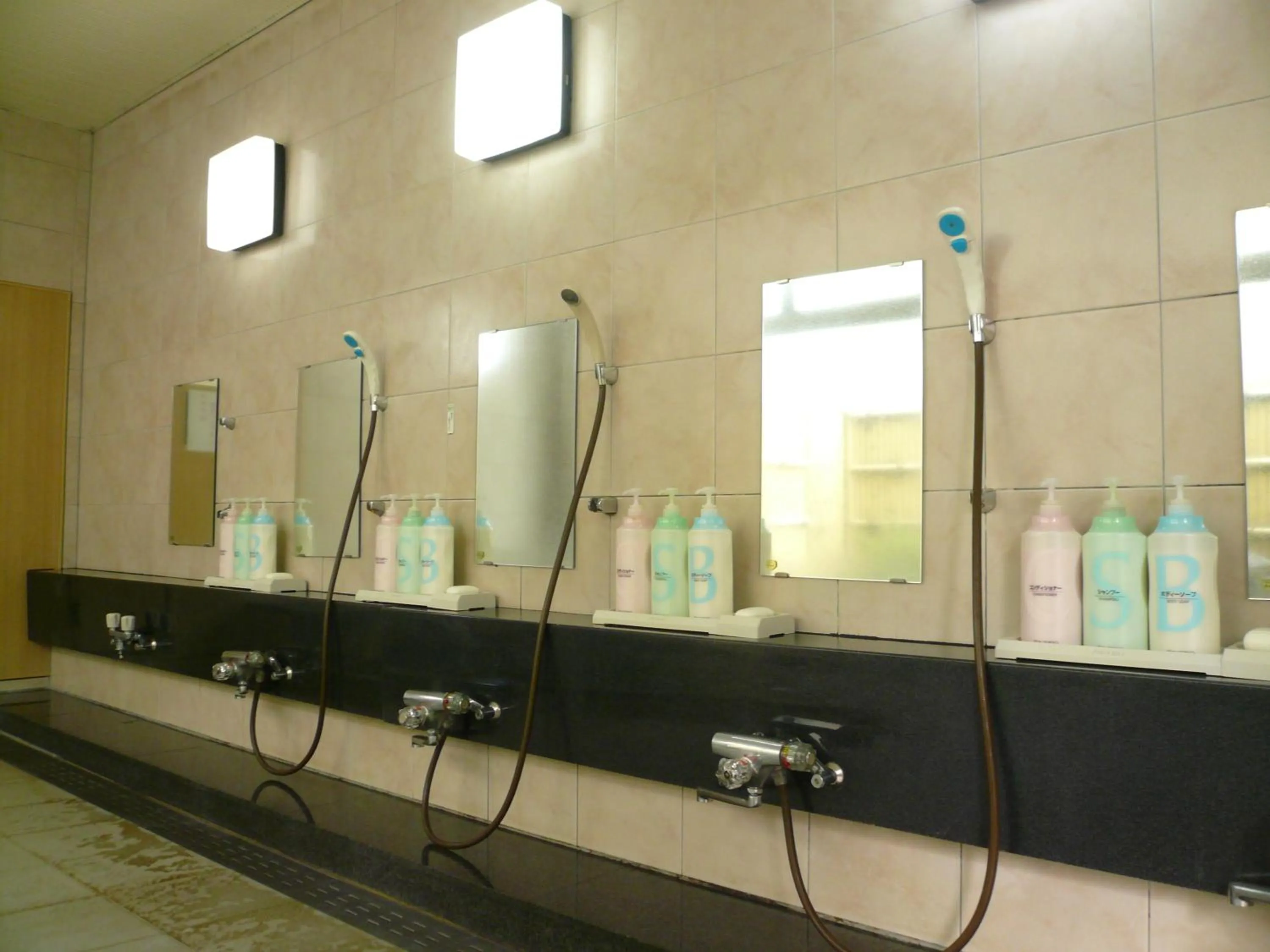 Hot Spring Bath in Takayama City Hotel Four Seasons