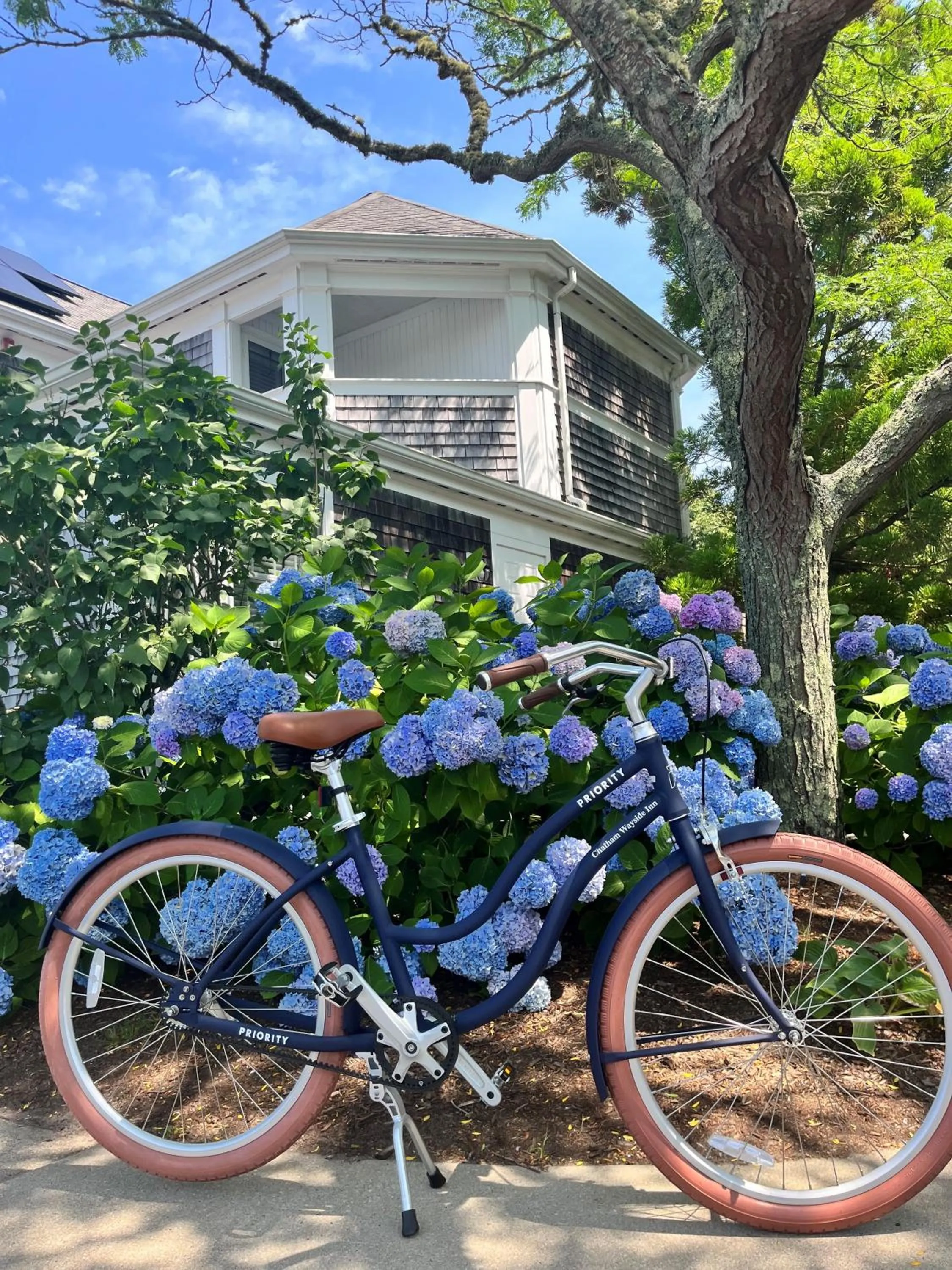 Cycling in Greyfinch Chatham Inn
