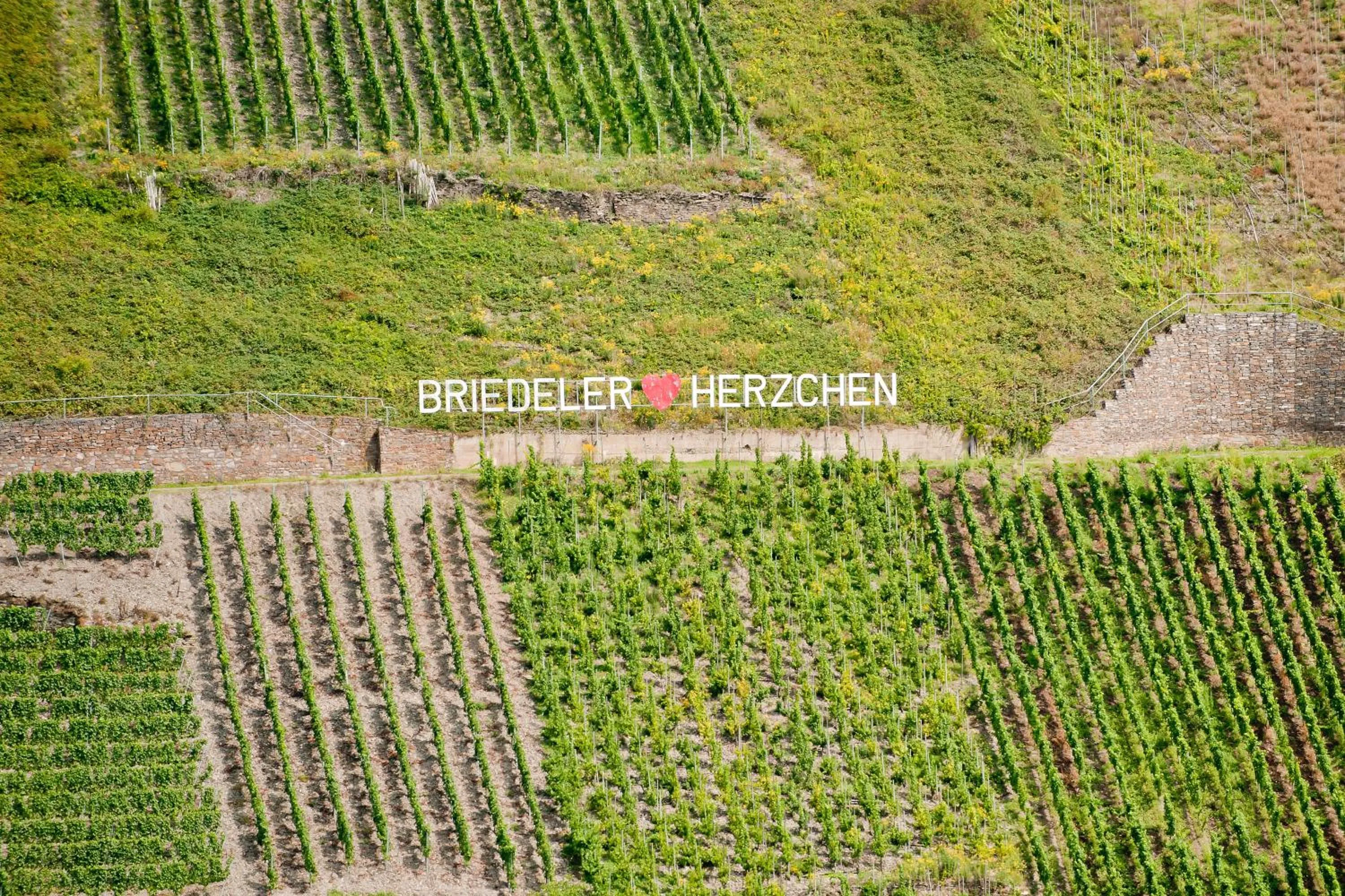 Wein- und Sektgut Markus Hensler