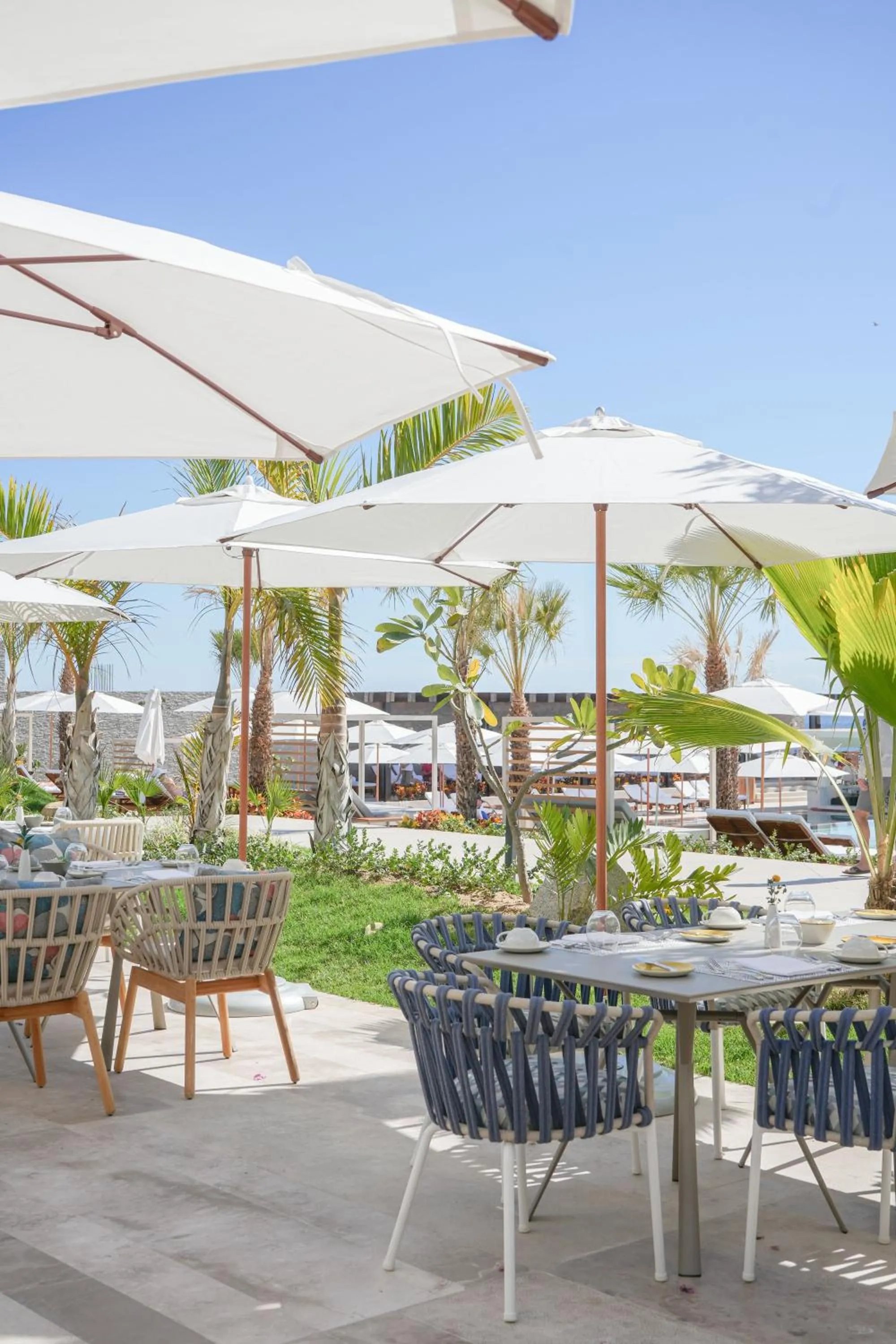 Restaurant/places to eat in Grand Velas Boutique Hotel