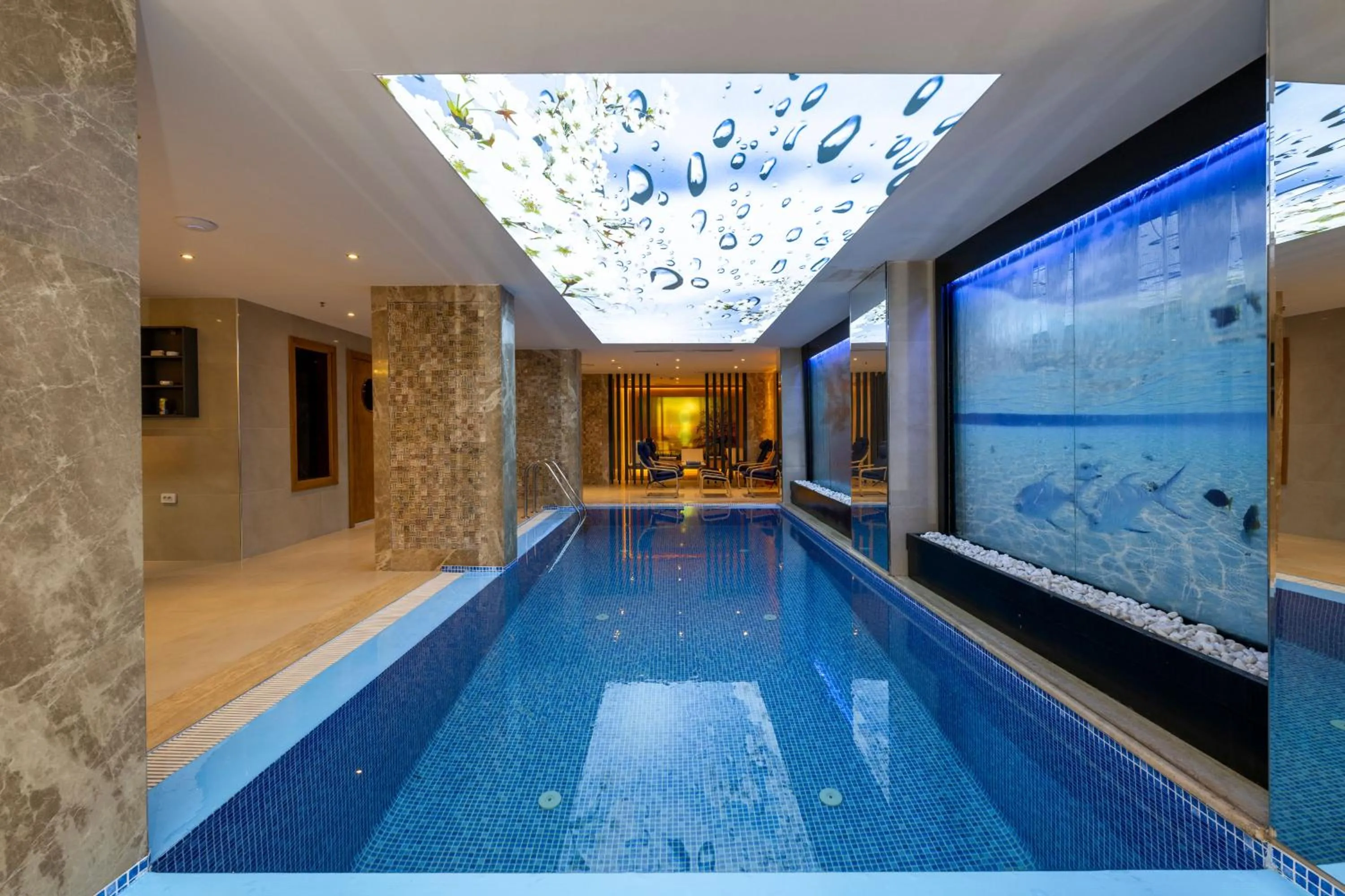 Swimming pool in Freya Hotel