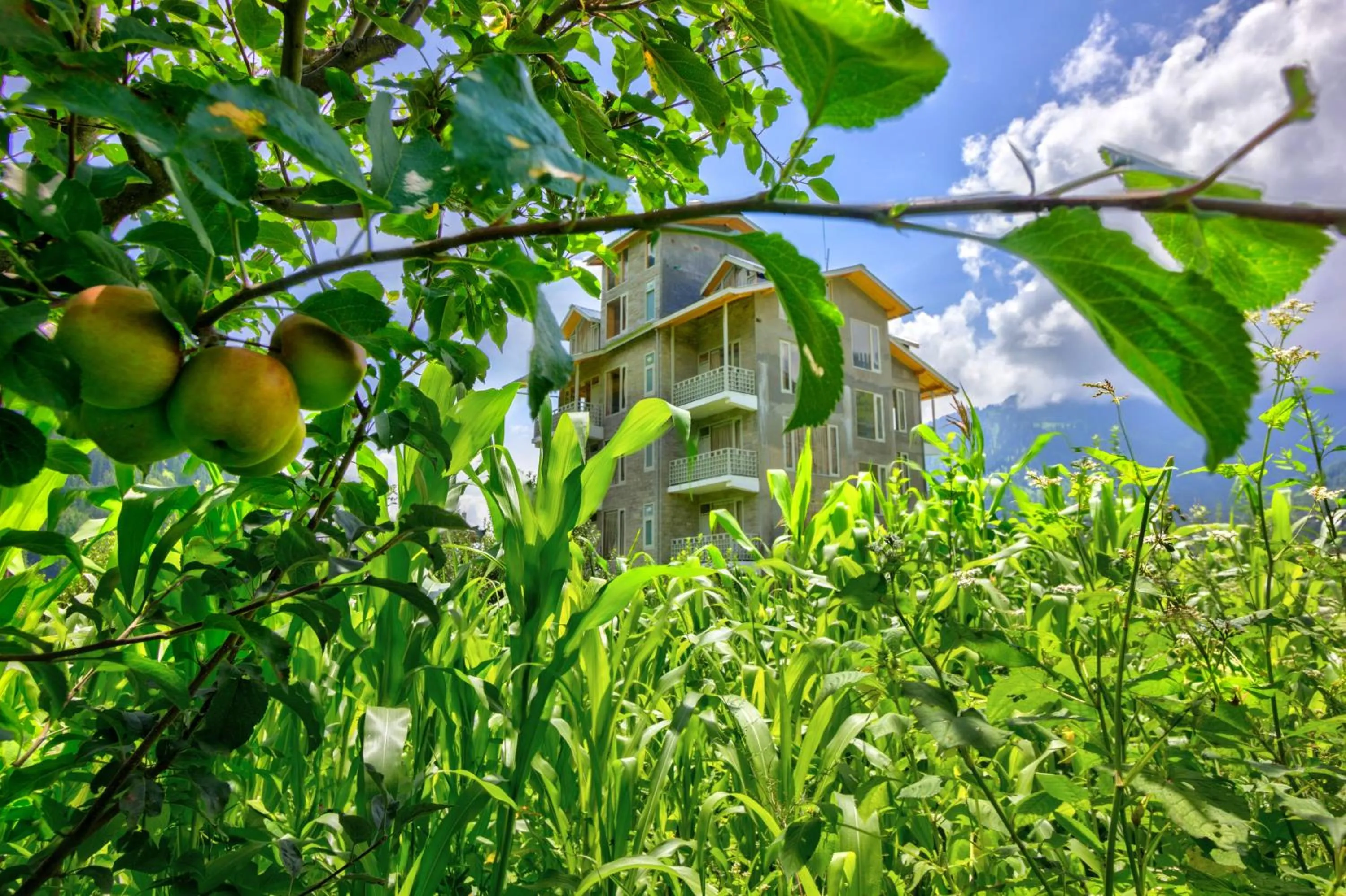 Day in La Aero Resort Home in Snow Mountains