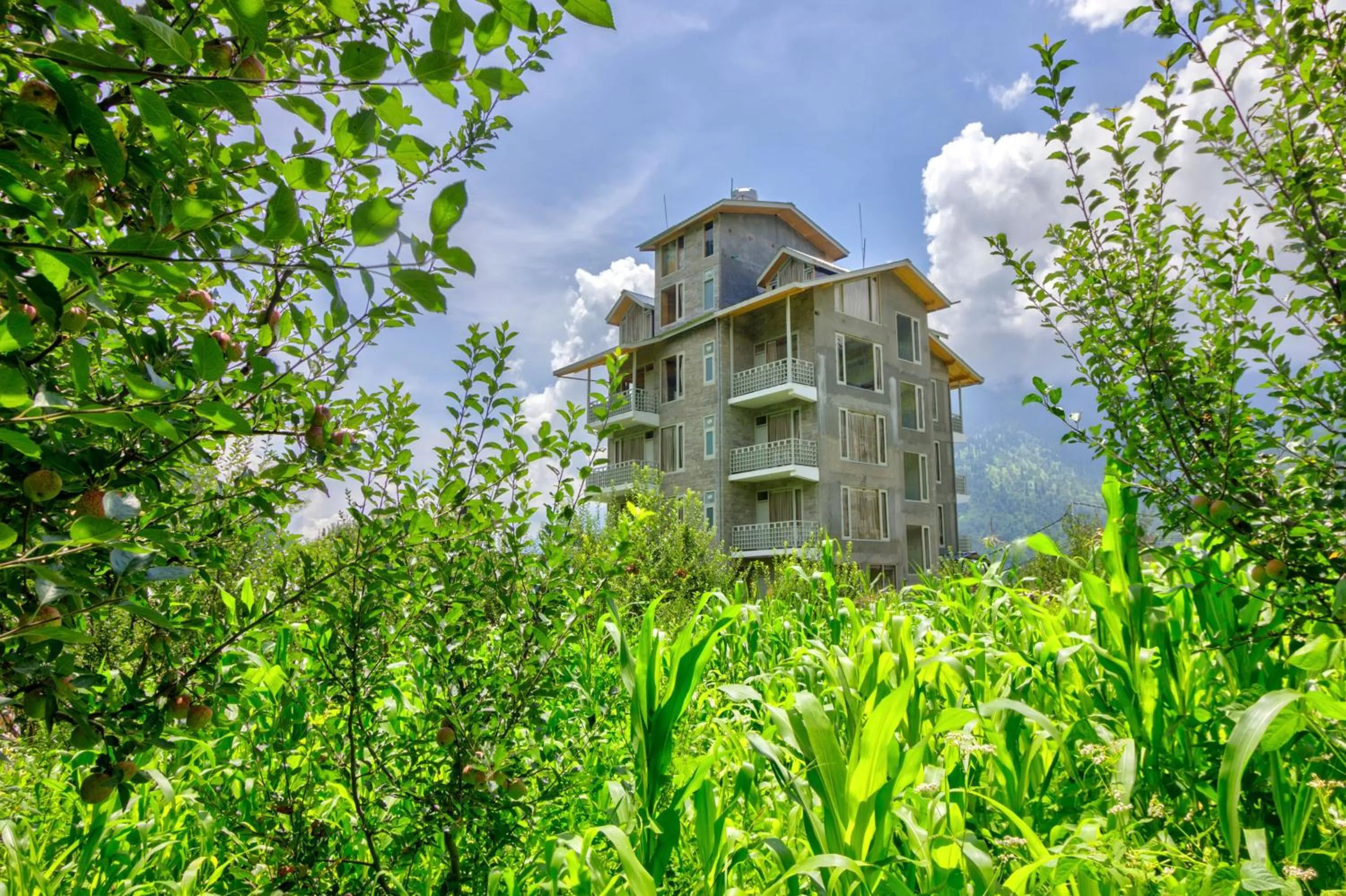 Property building in La Aero Resort Home in Snow Mountains