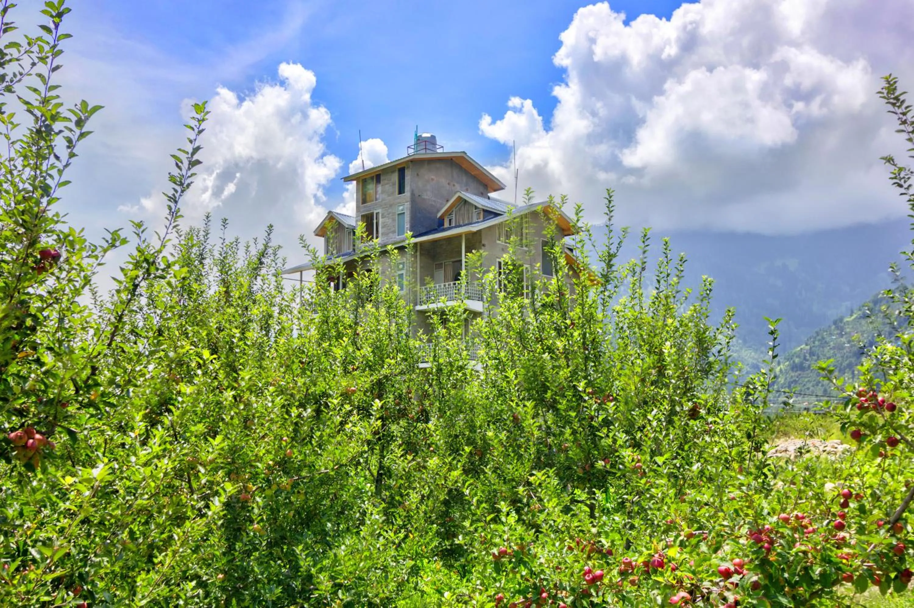 Day in La Aero Resort Home in Snow Mountains