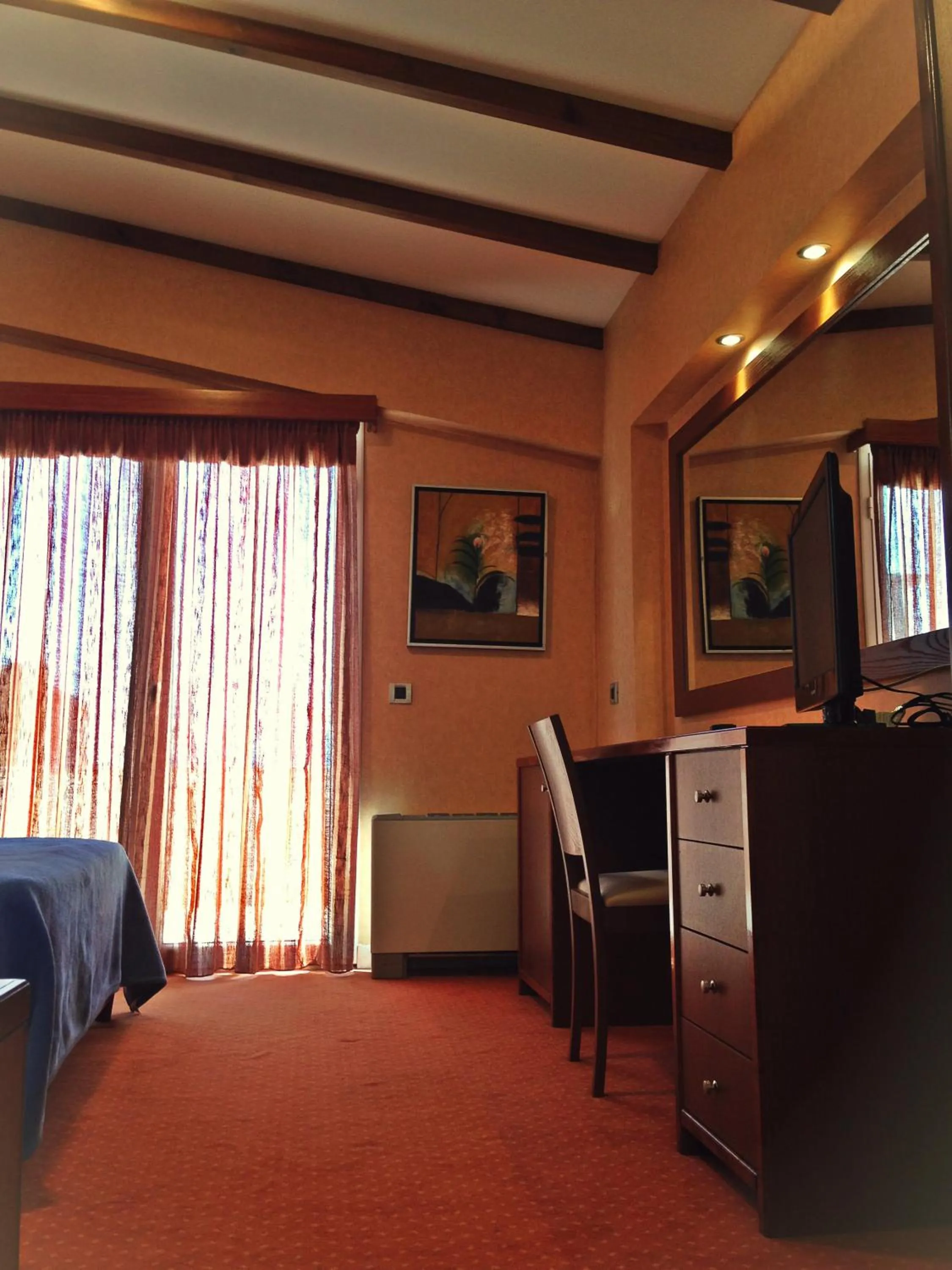 TV and multimedia, Bed in Dionysion