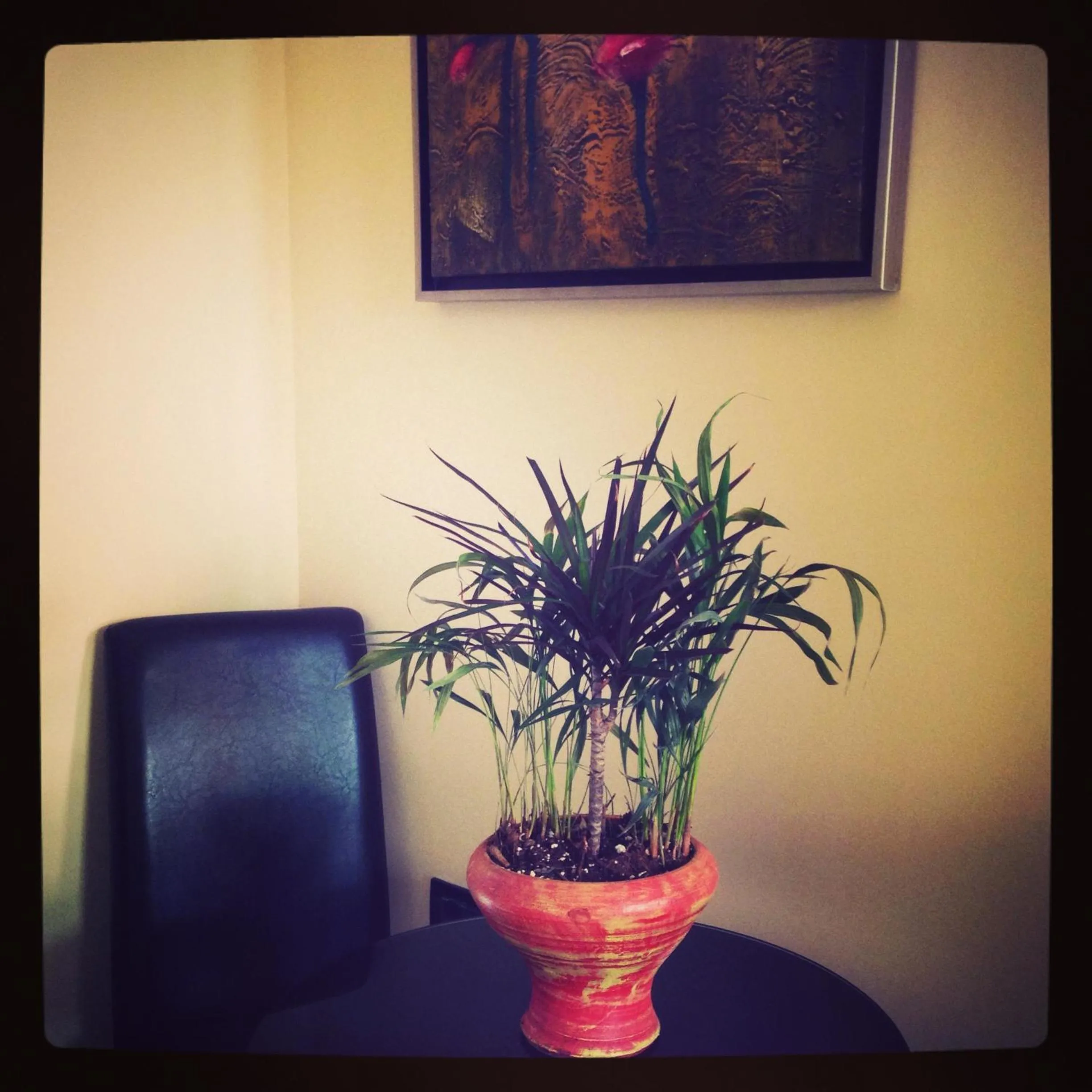 Communal lounge/ TV room in Dionysion