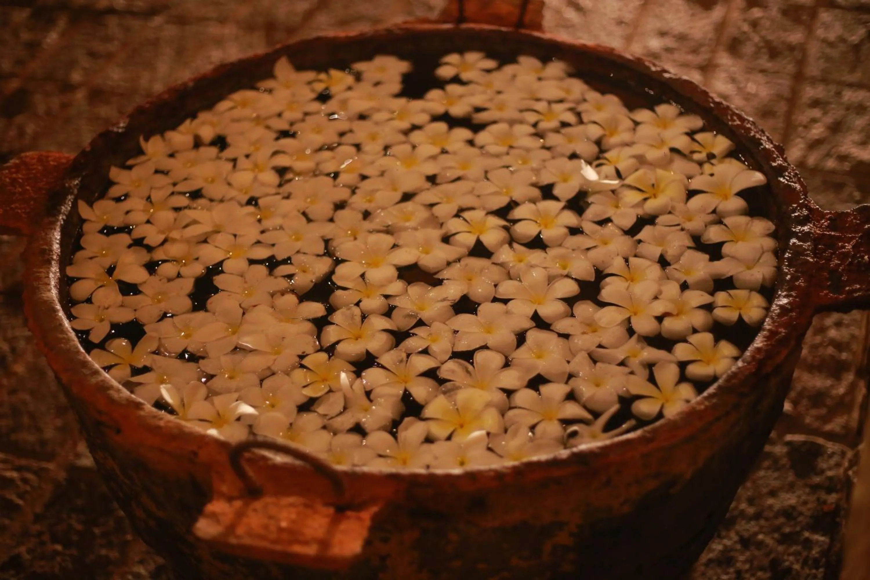 Facade/entrance in The Rockwall Boutique Hotel Bentota