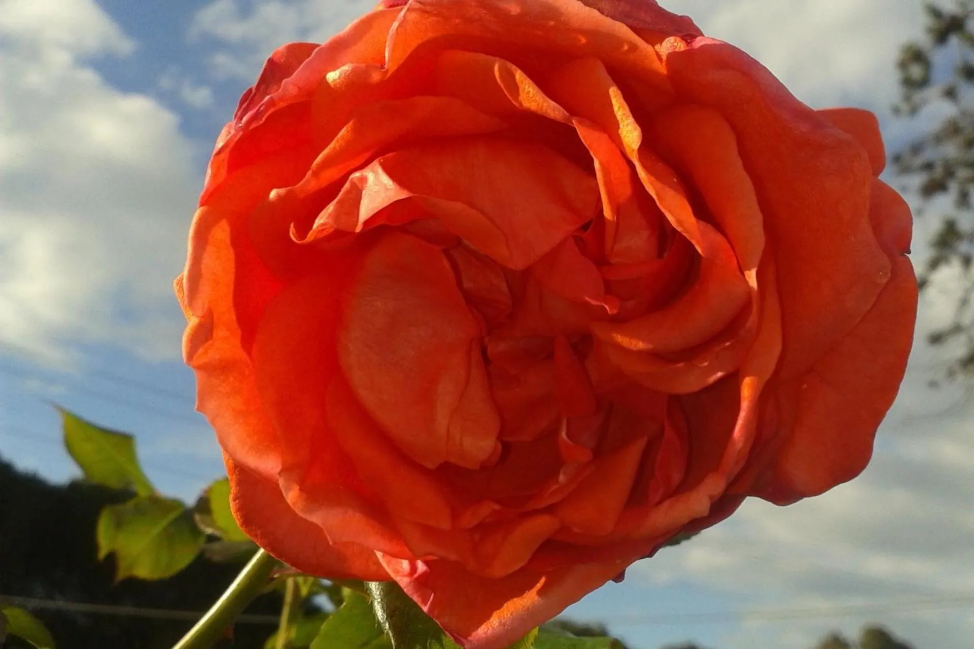 Hotel Gli Acquerelli