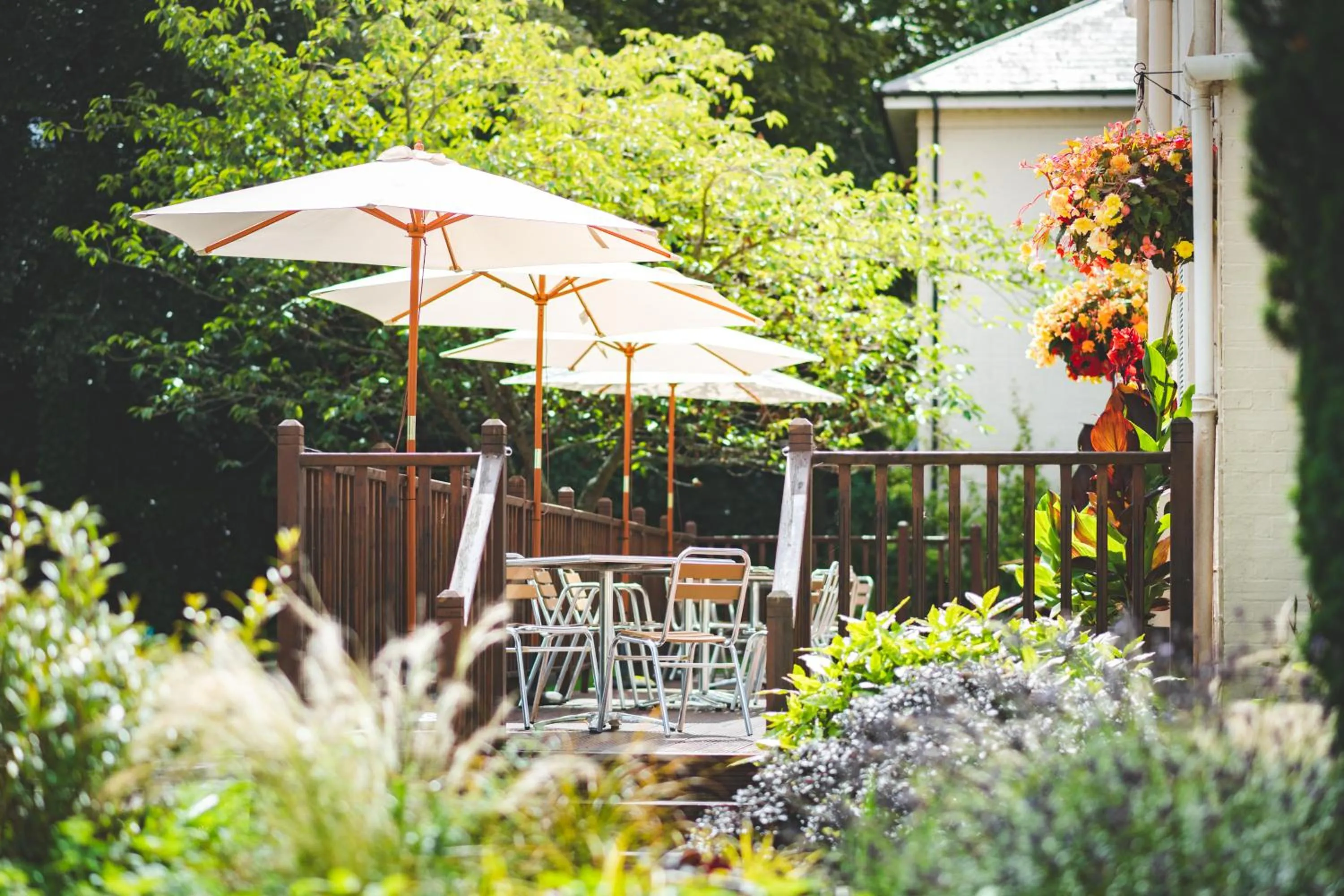 Balcony/Terrace in Forest Lodge Hotel
