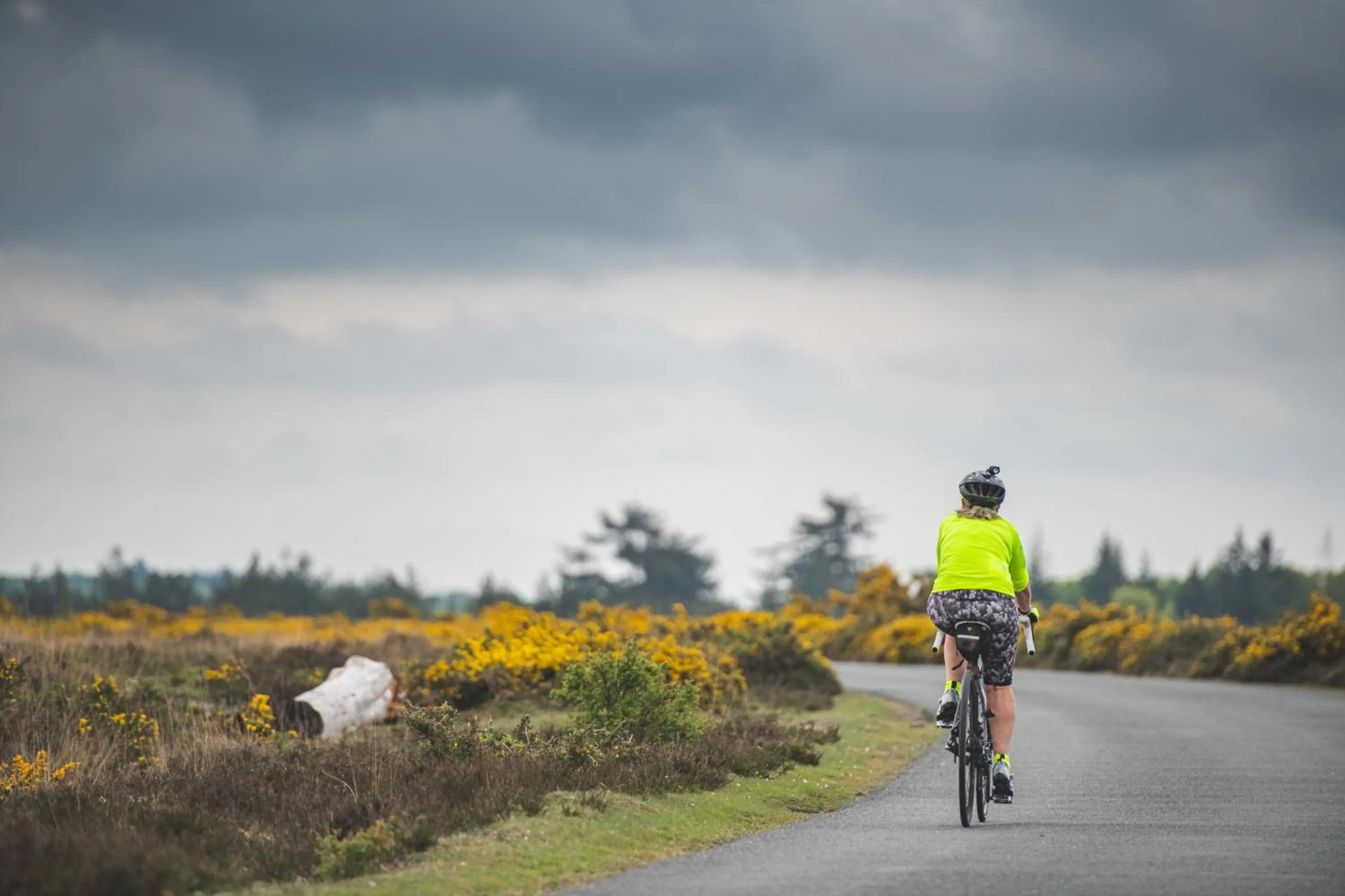 Other in Forest Lodge Hotel