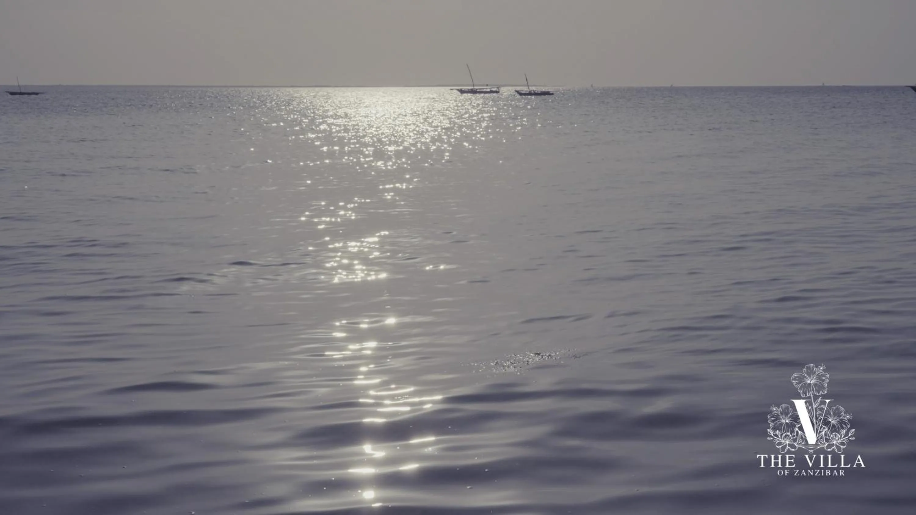 The Villa of Zanzibar