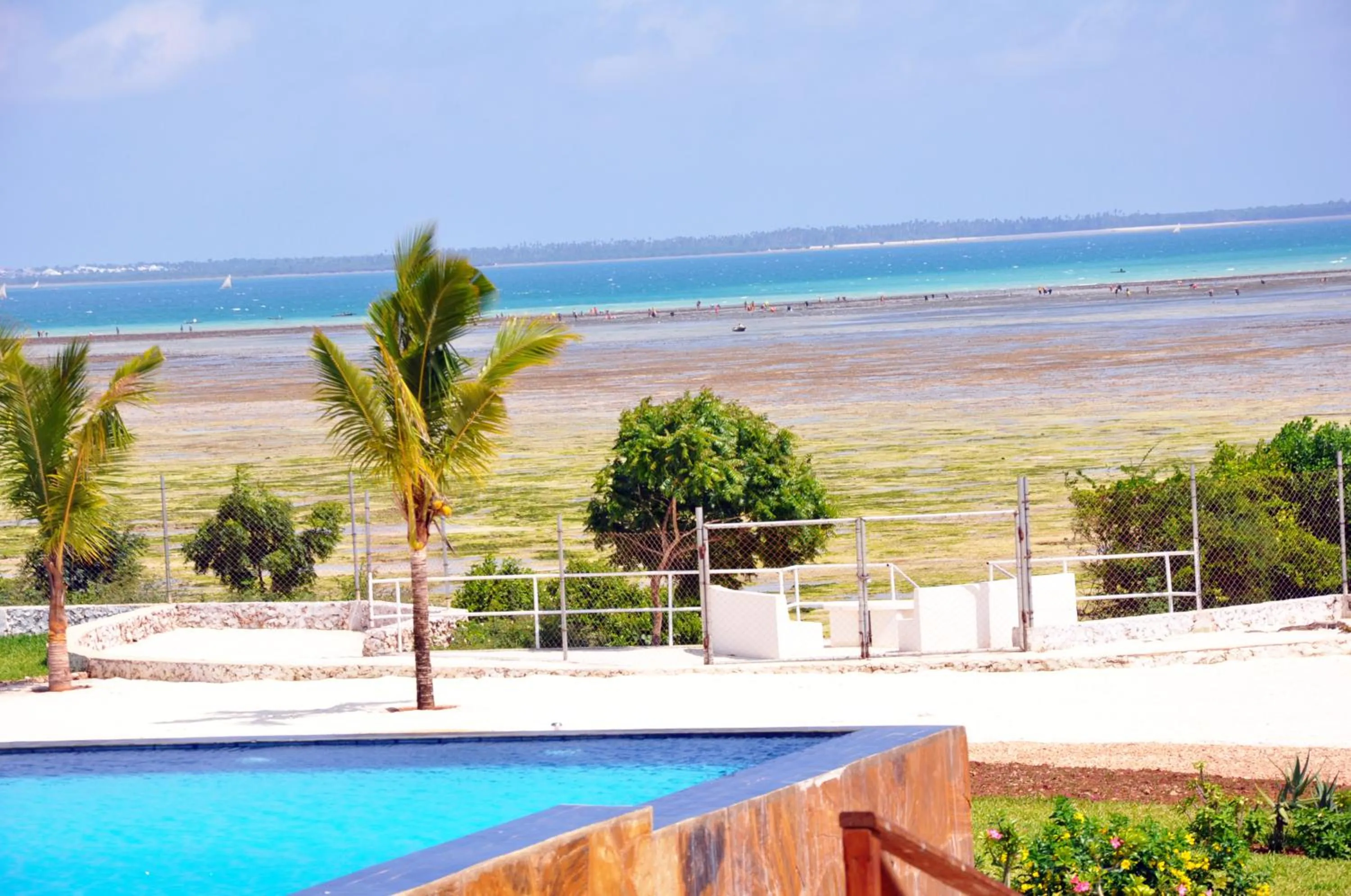 Day in The Villa of Zanzibar