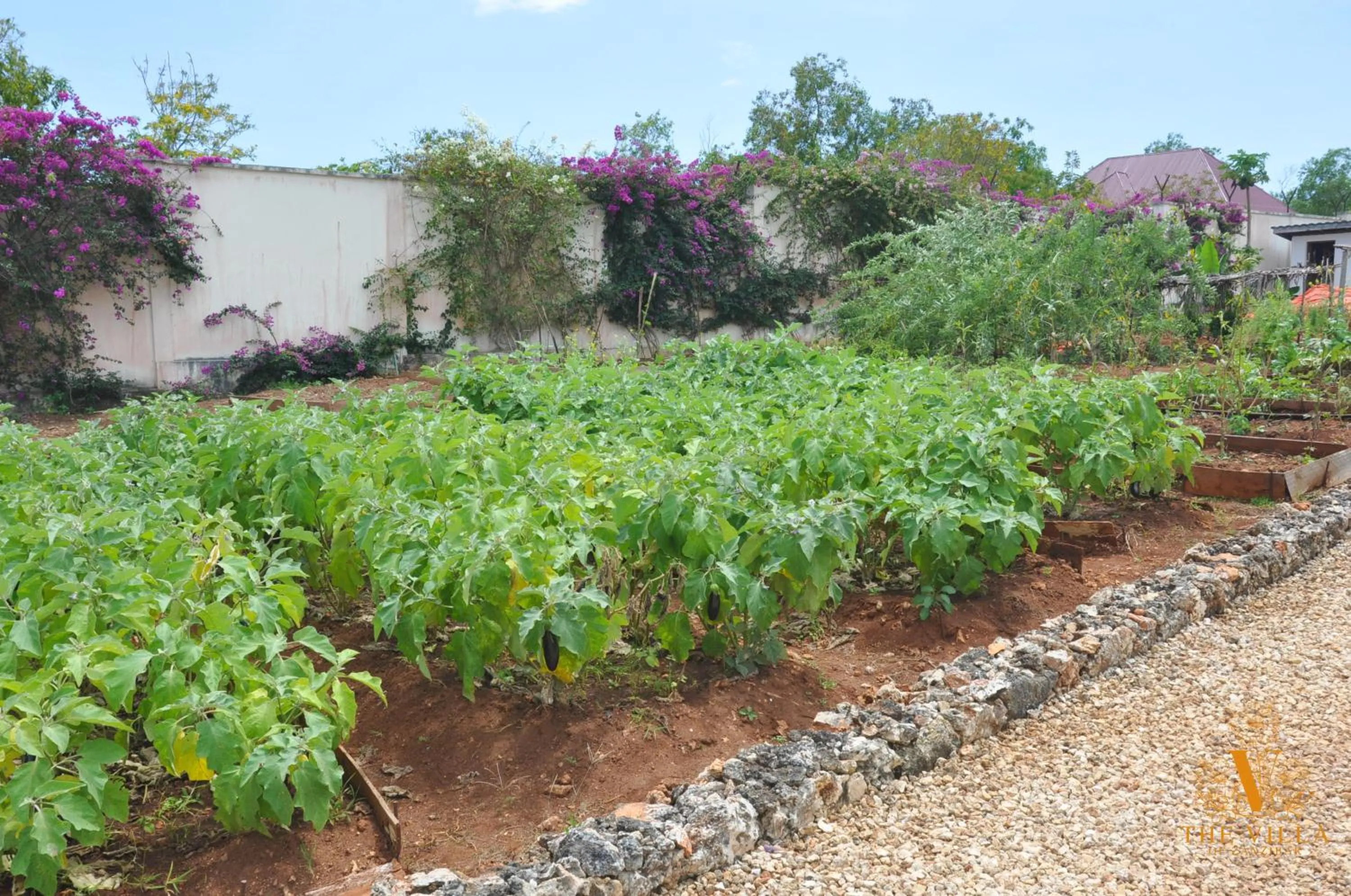 The Villa of Zanzibar