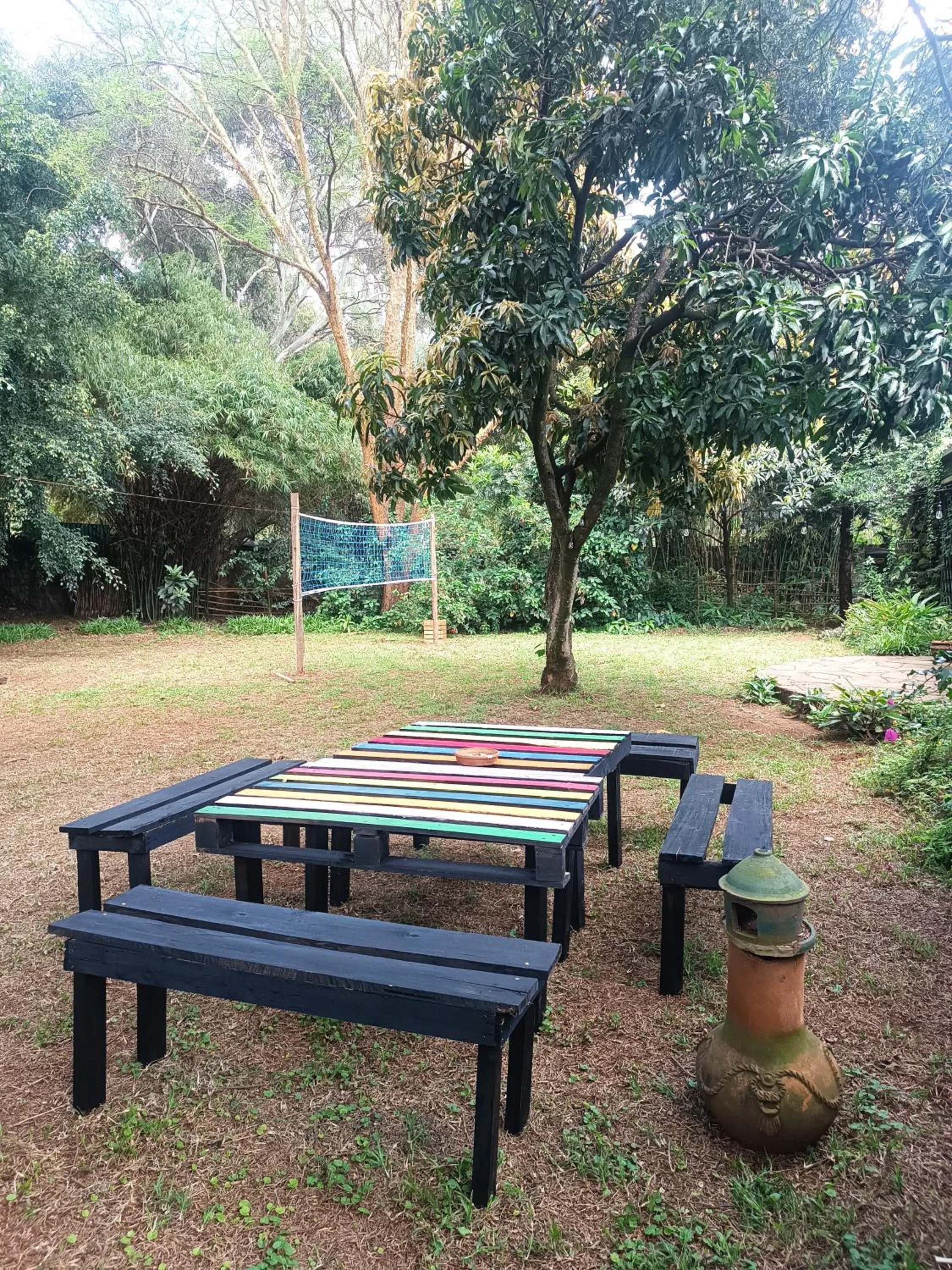 Day in Mad Vervet Nairobi Backpackers Hostel