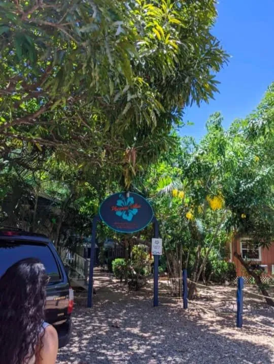 Day in Placencia Villas