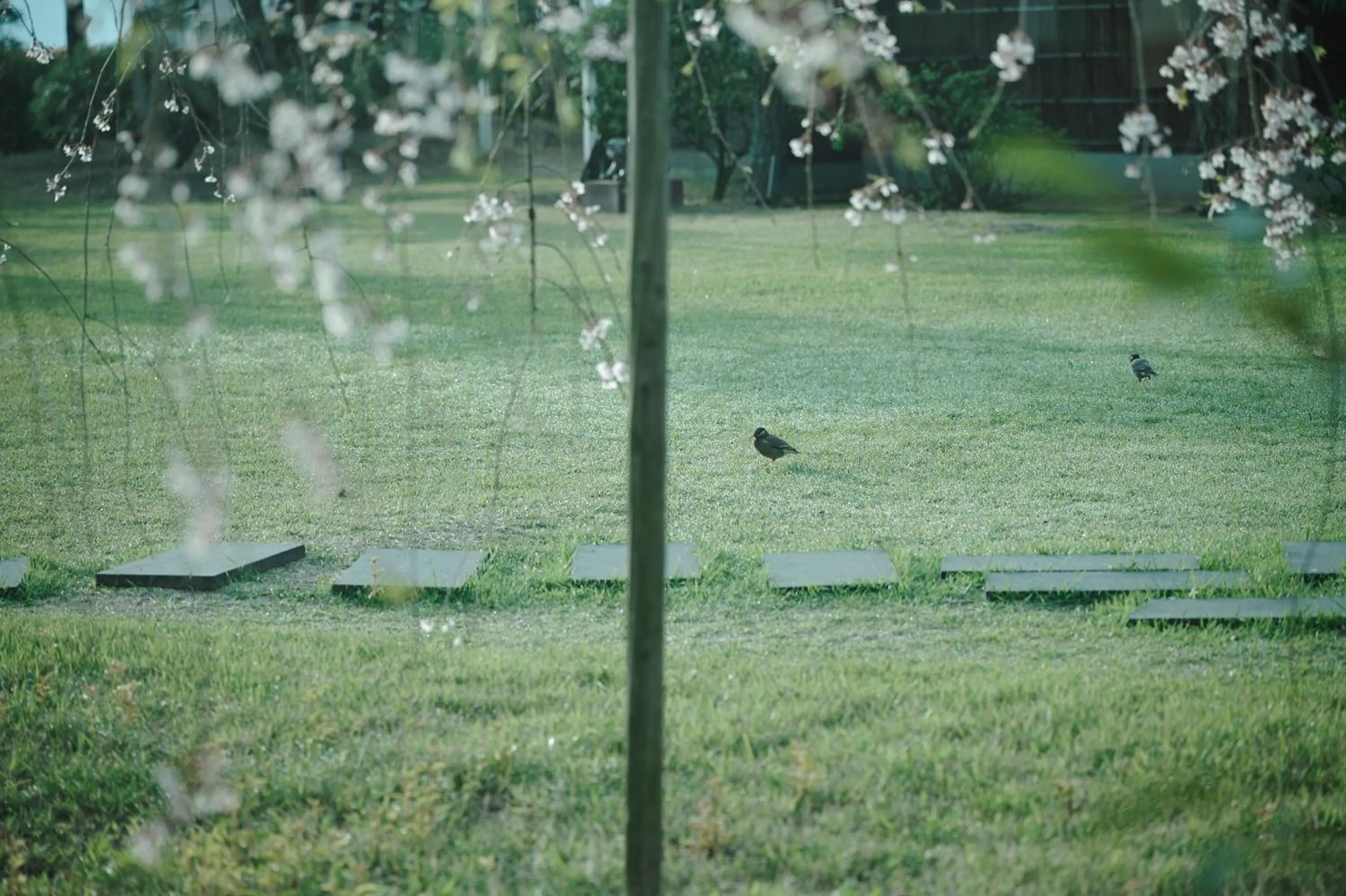 Garden in Ryokan Onomichi Nishiyama