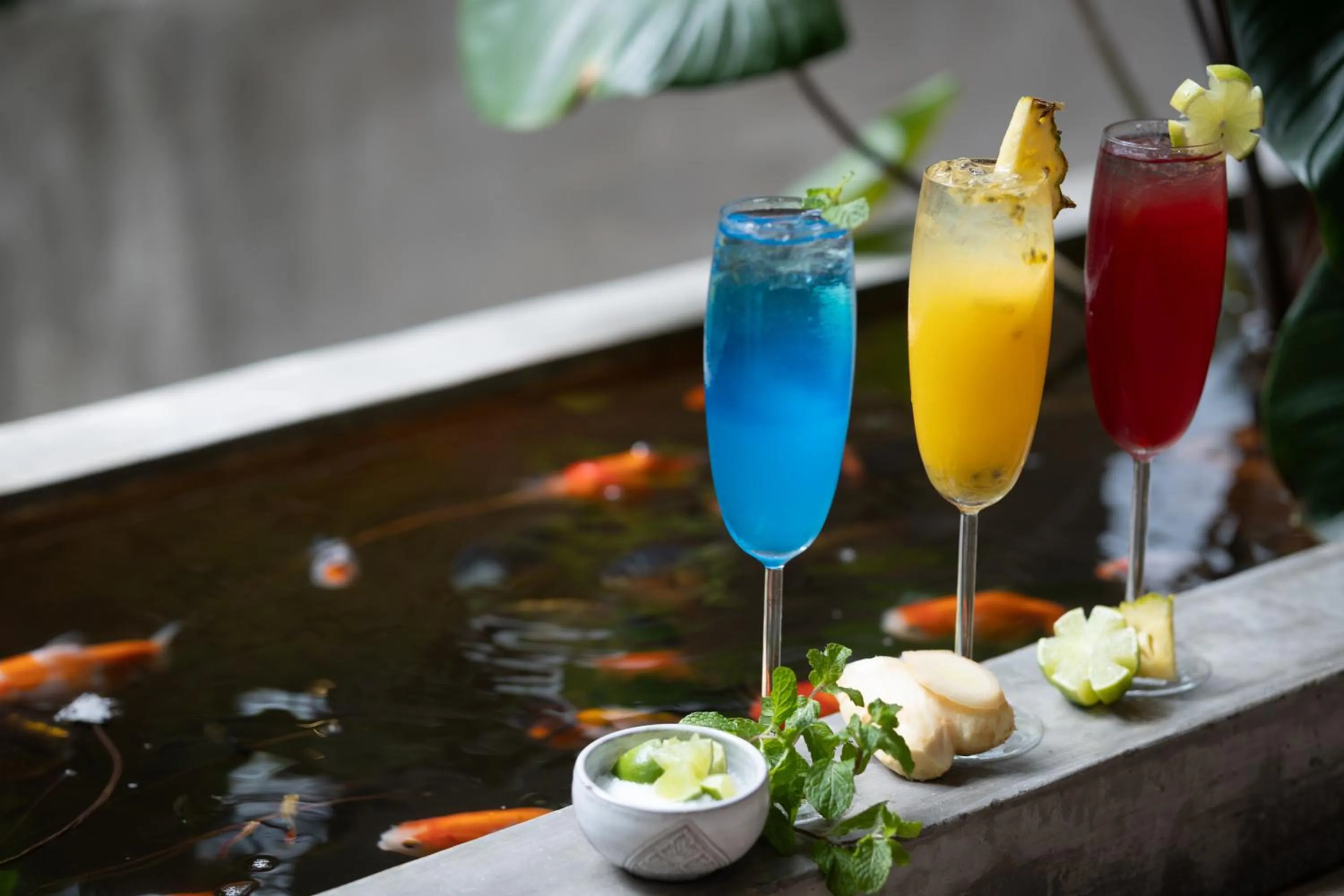 Drinks in The Community - Siem Reap