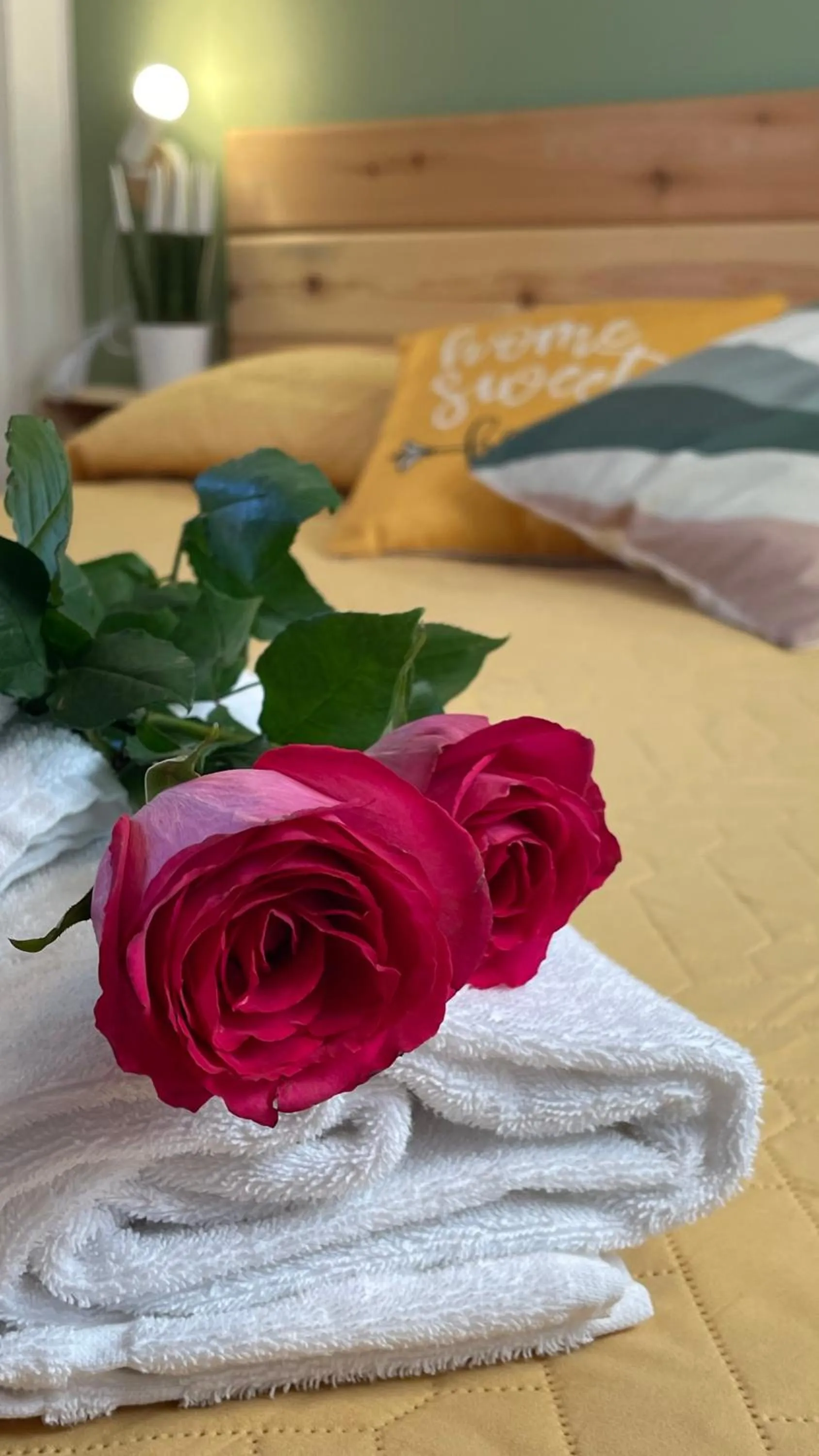 Bed in Residence La Rosa