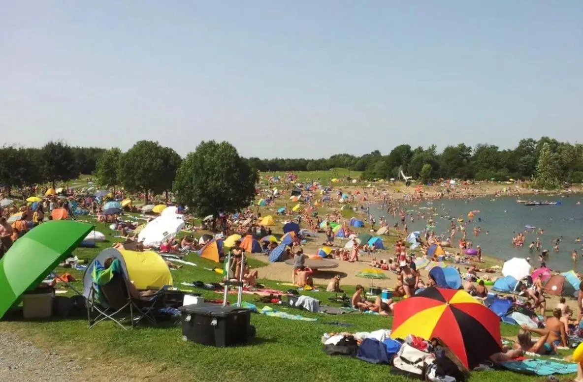 Single Room in Rheinländer Seehotel