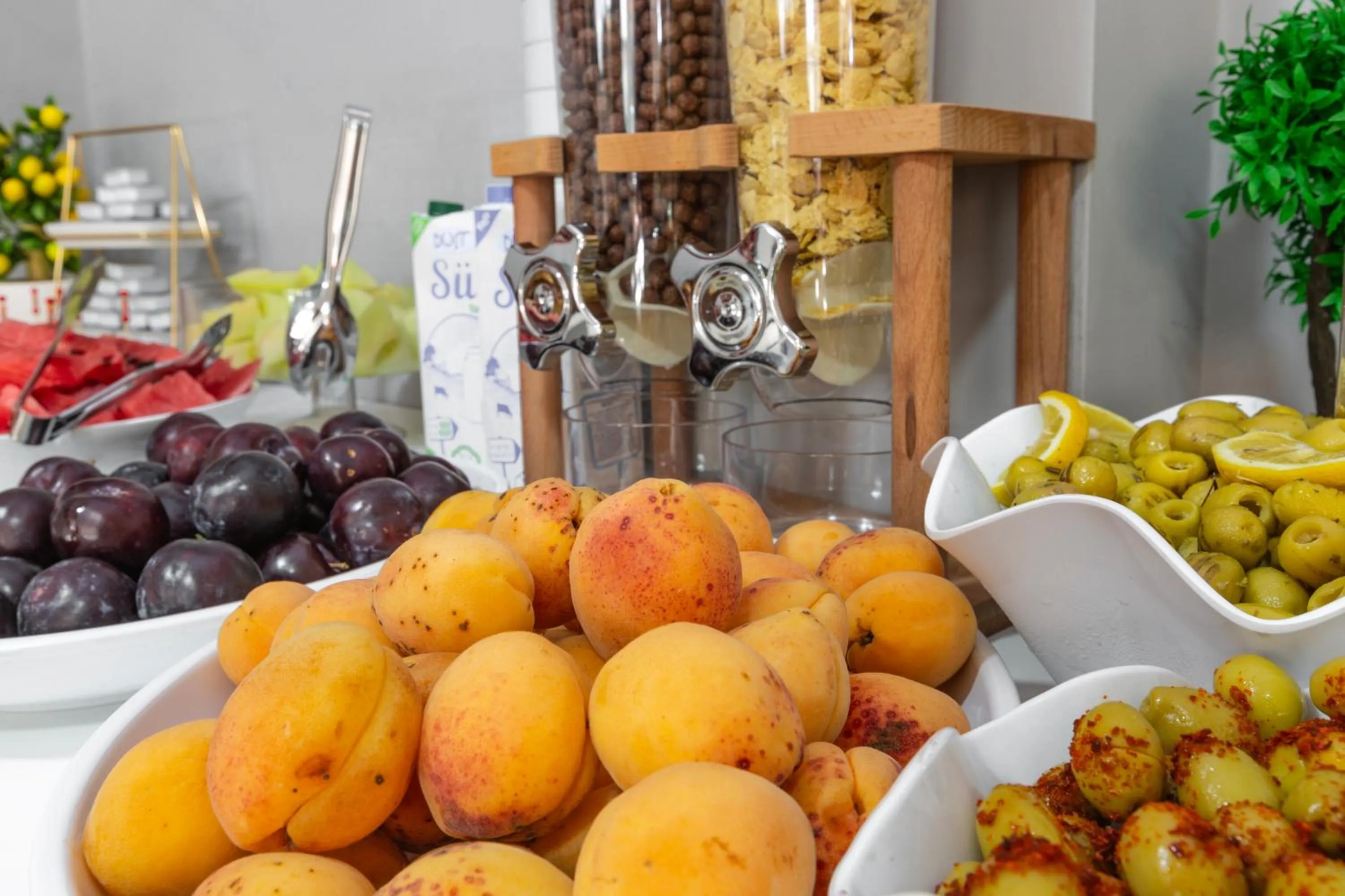 Food and drinks in North Star Hotel