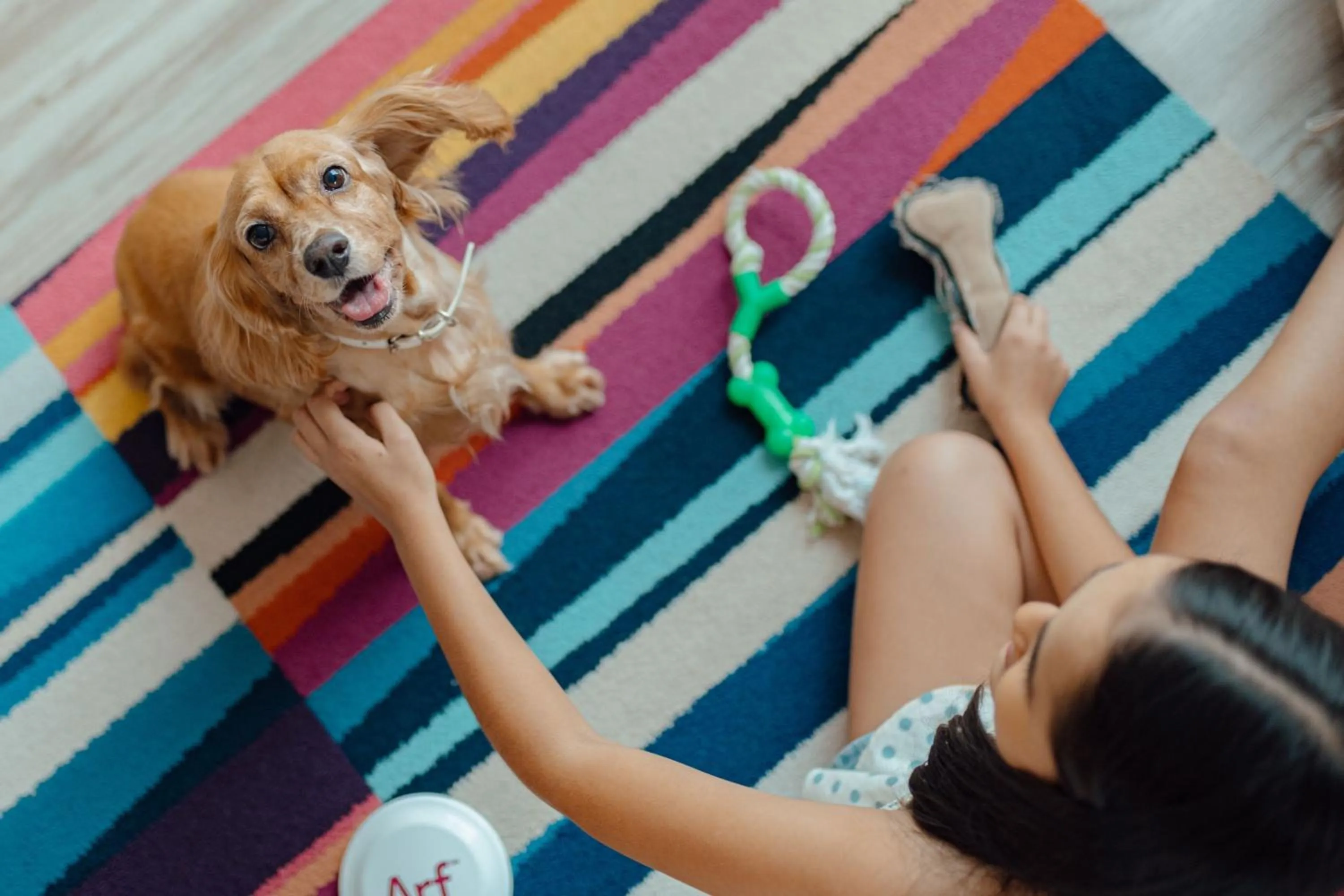 Other in Aloft San Pedro Sula