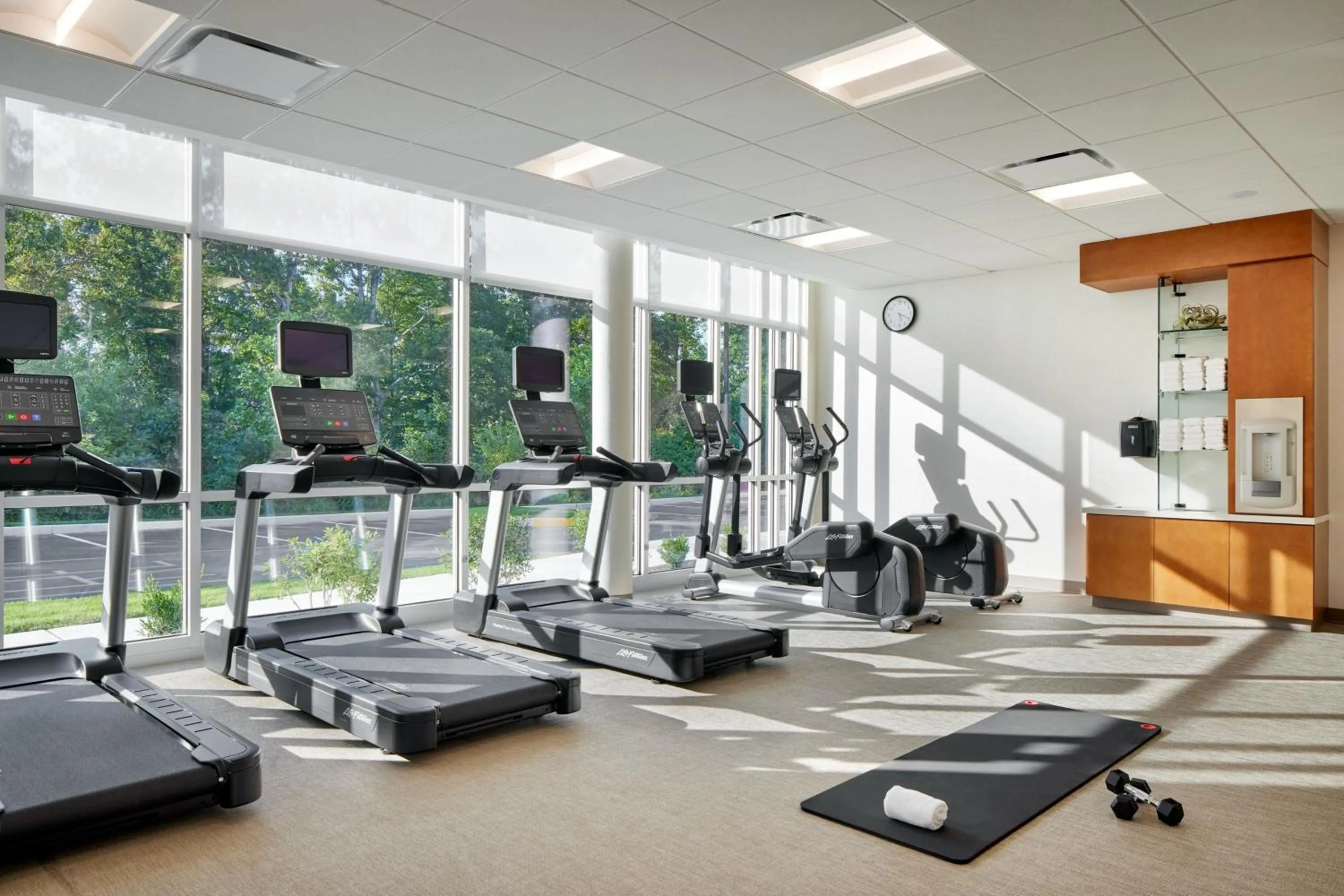Fitness centre/facilities in SpringHill Suites by Marriott Frederica