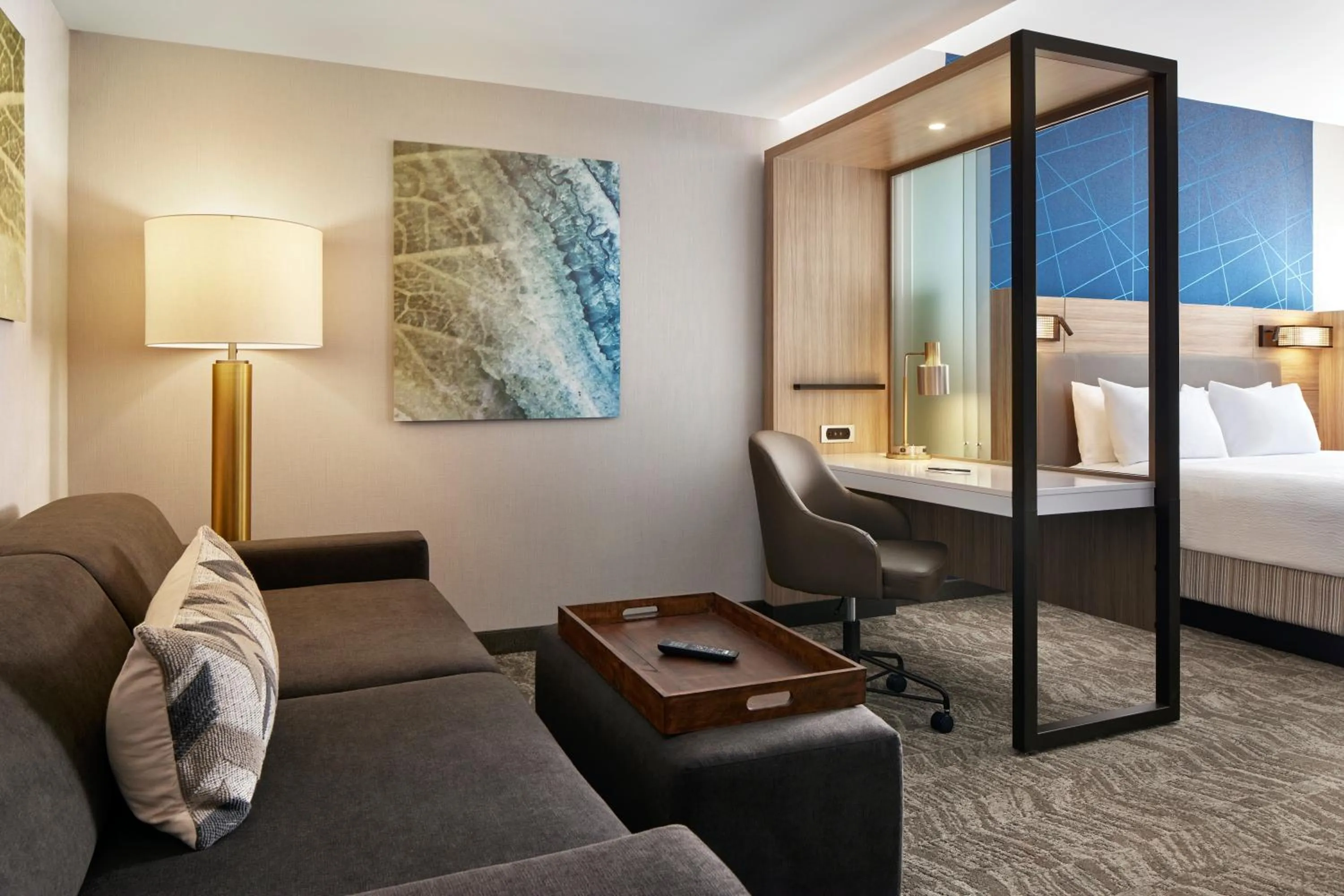 TV and multimedia, Bed in SpringHill Suites by Marriott Frederica