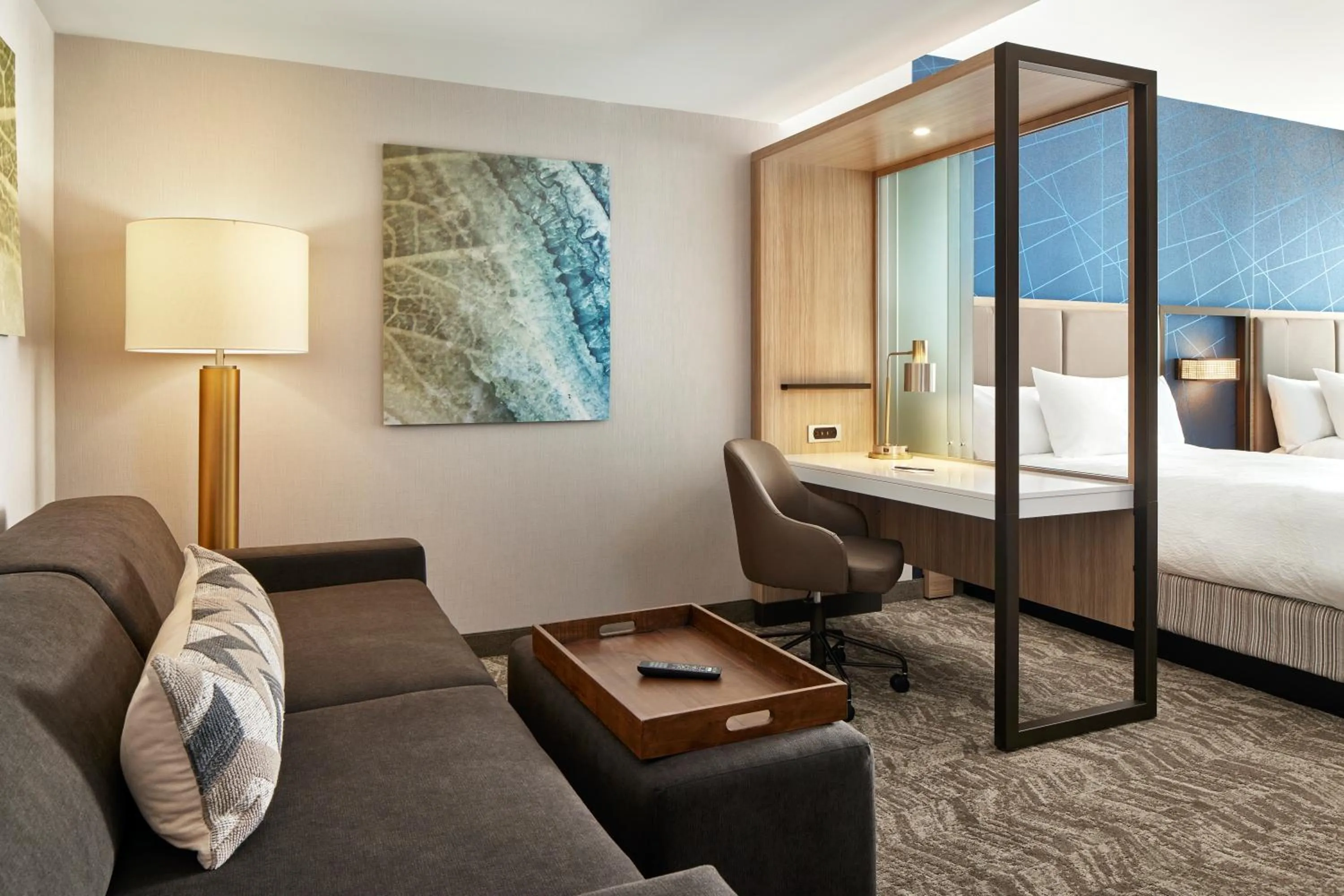 TV and multimedia, Bed in SpringHill Suites by Marriott Frederica