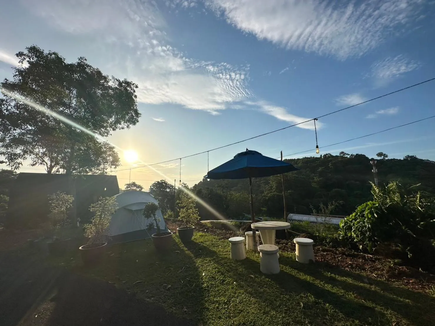 Garden in So View Phuket Resort