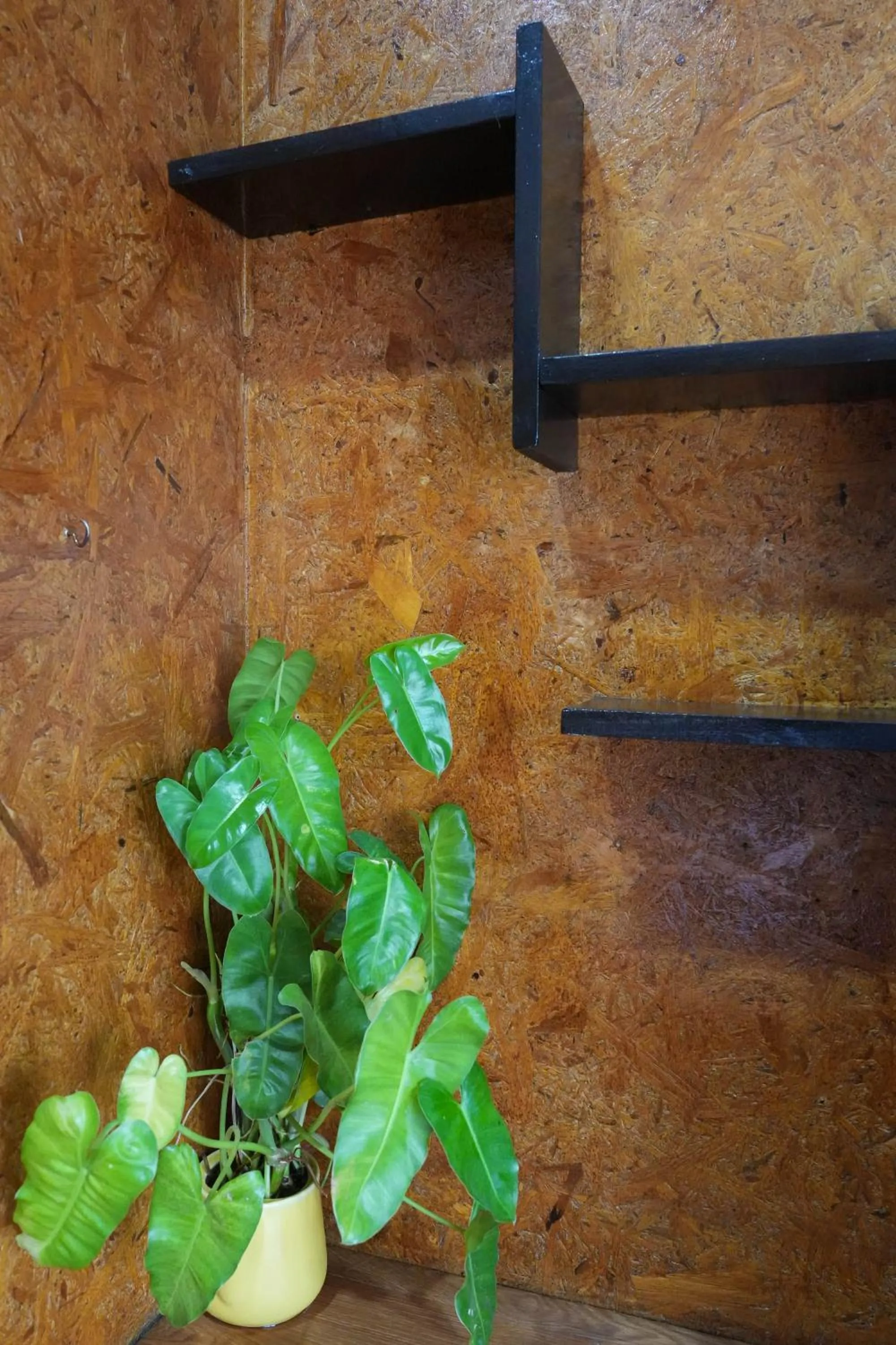 Decorative detail in So View Phuket Resort