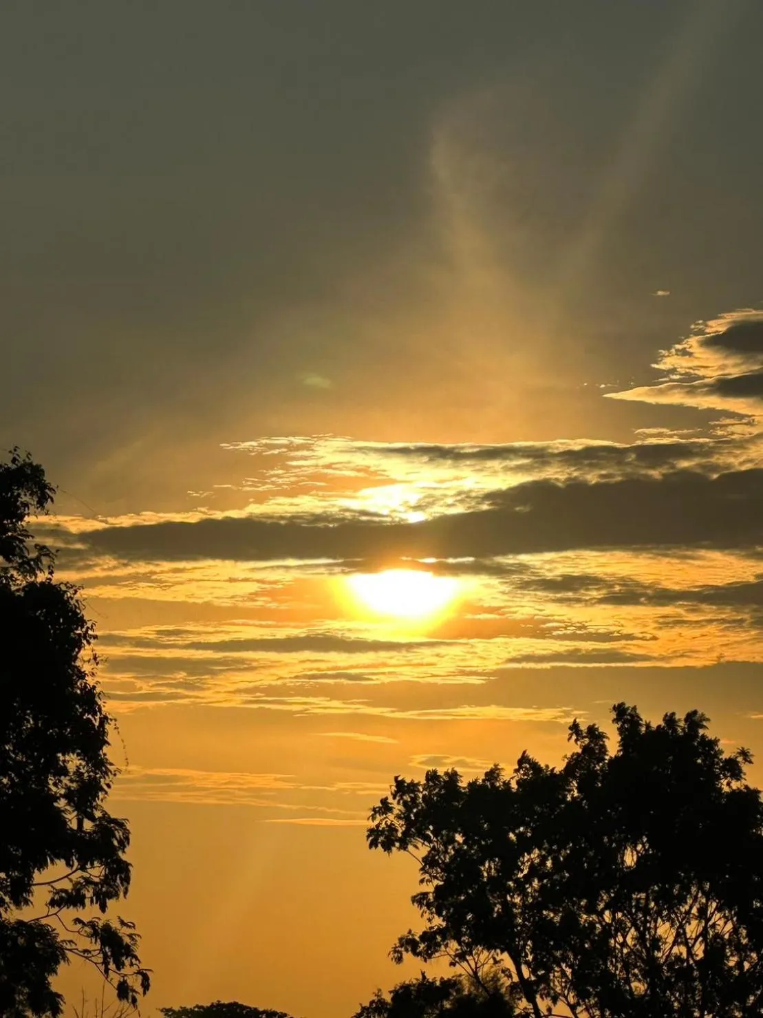 Natural landscape in So View Phuket Resort