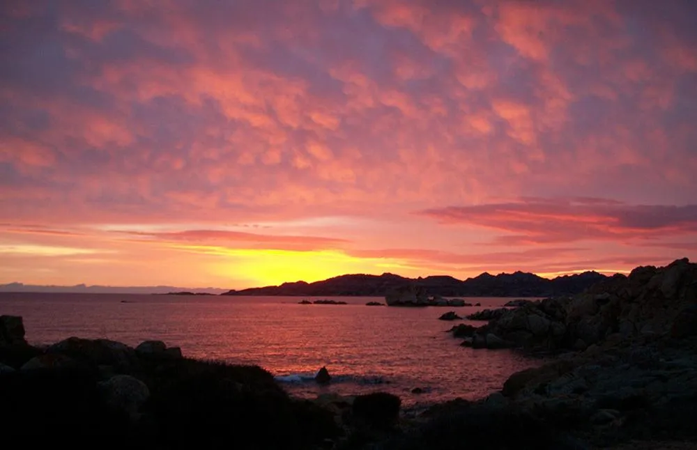 Natural landscape in Hotel Cala Lunga