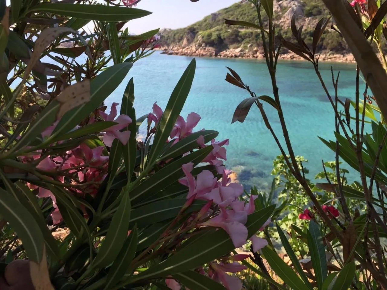 Natural landscape in Hotel Cala Lunga
