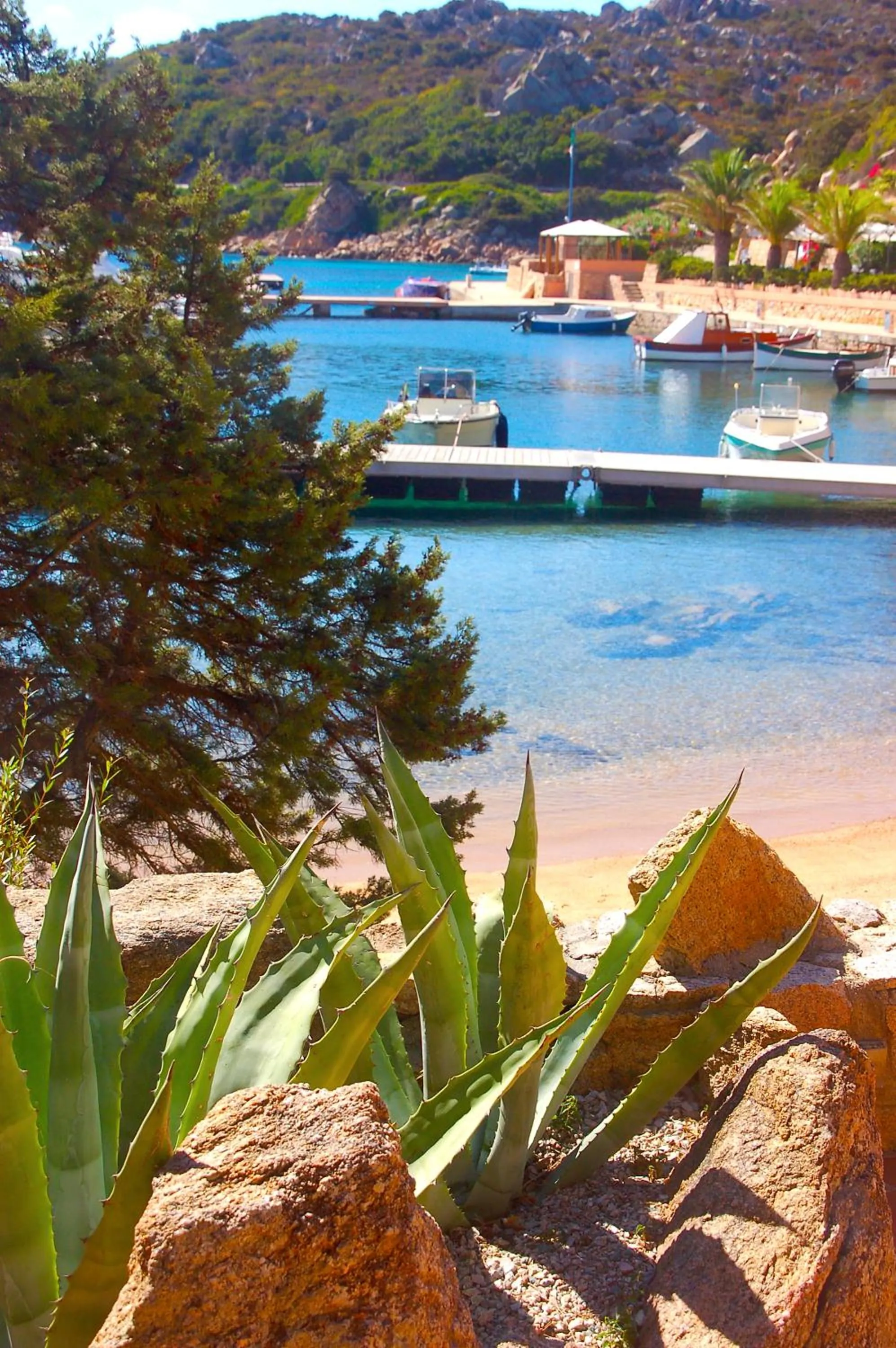 Natural landscape in Hotel Cala Lunga