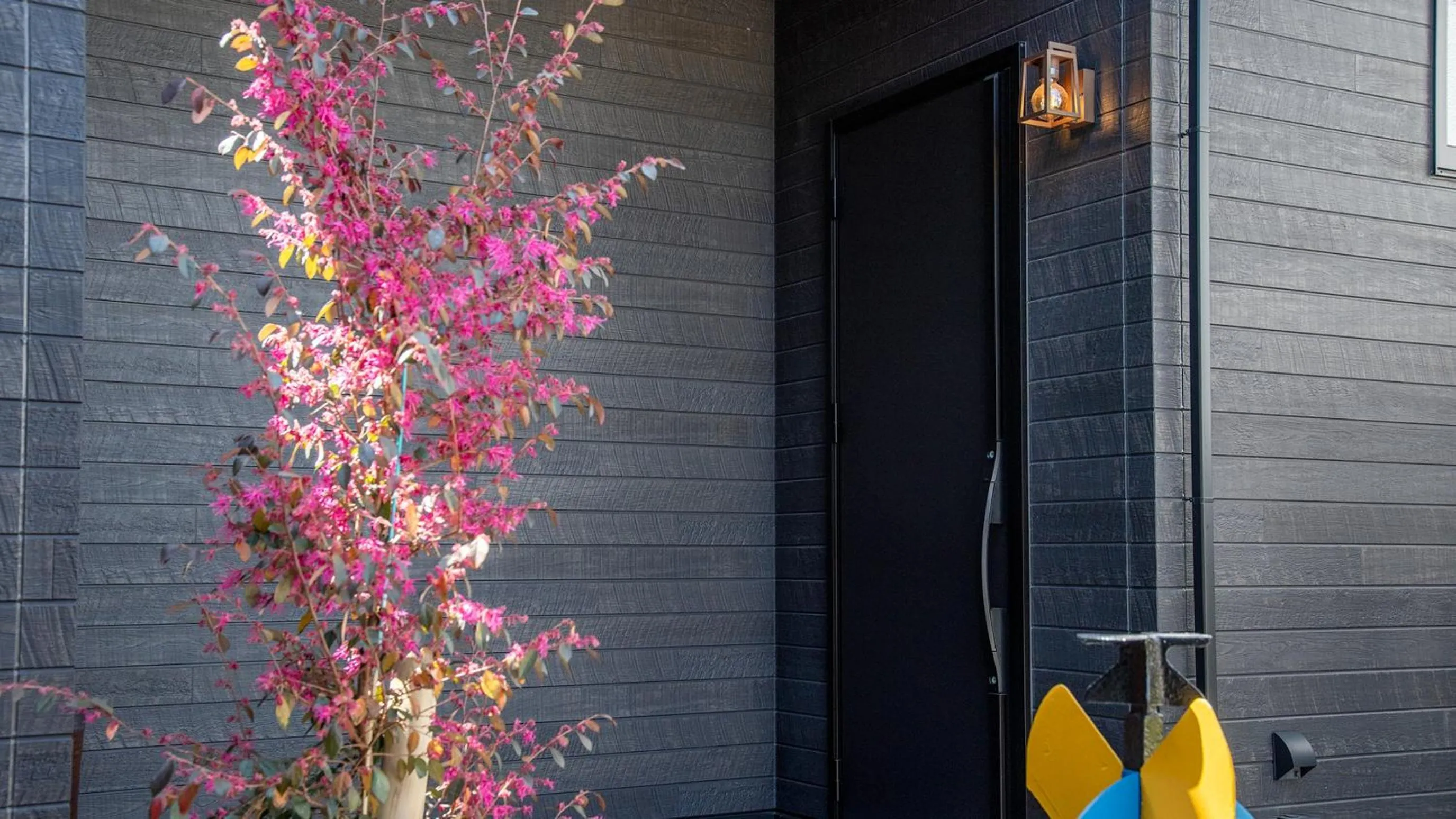 Property building in Shokudo and Hotel Kisyapoppo