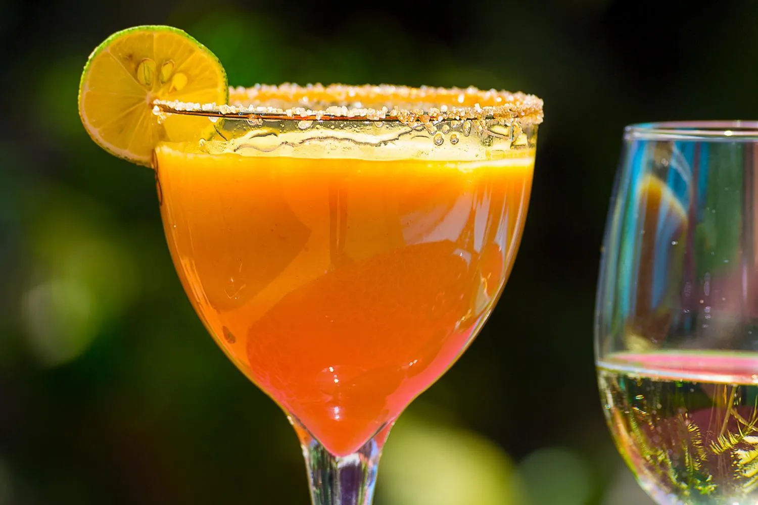 Drinks in Comfort Gardens