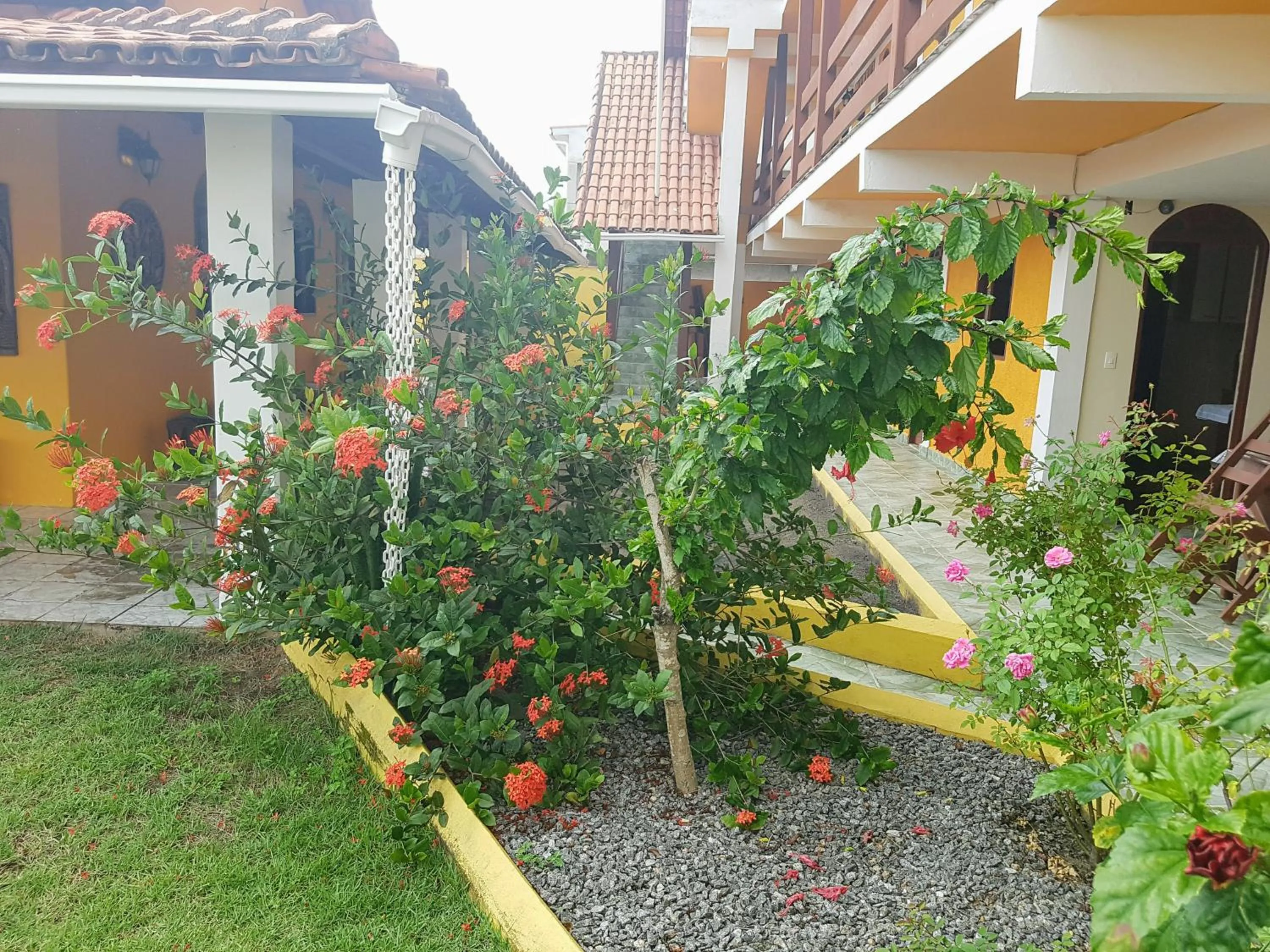 Garden view in Pousada Paradise
