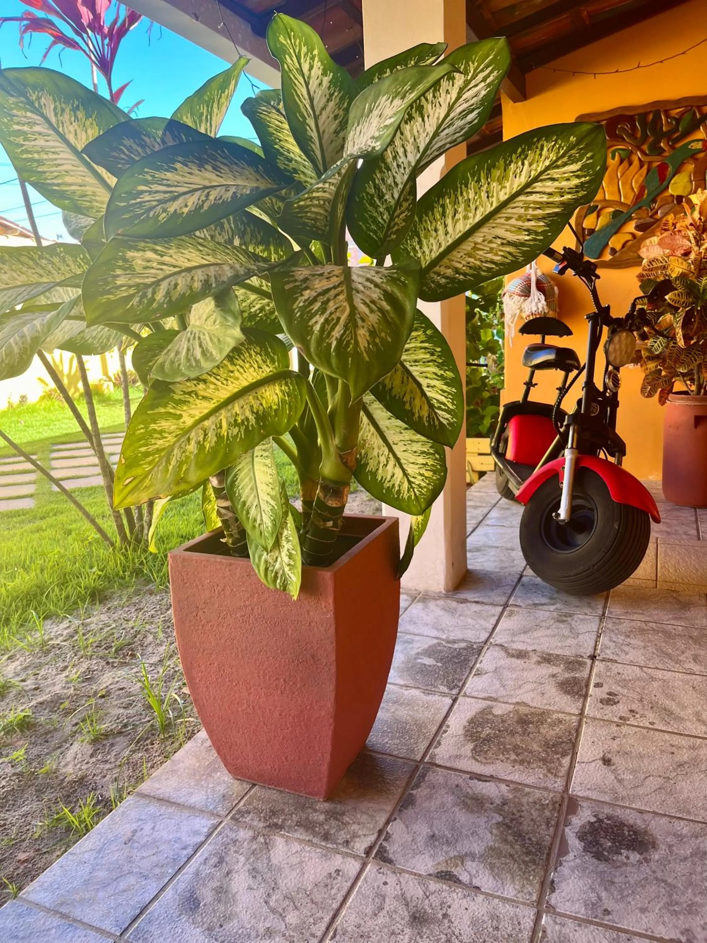 Garden in Pousada Paradise