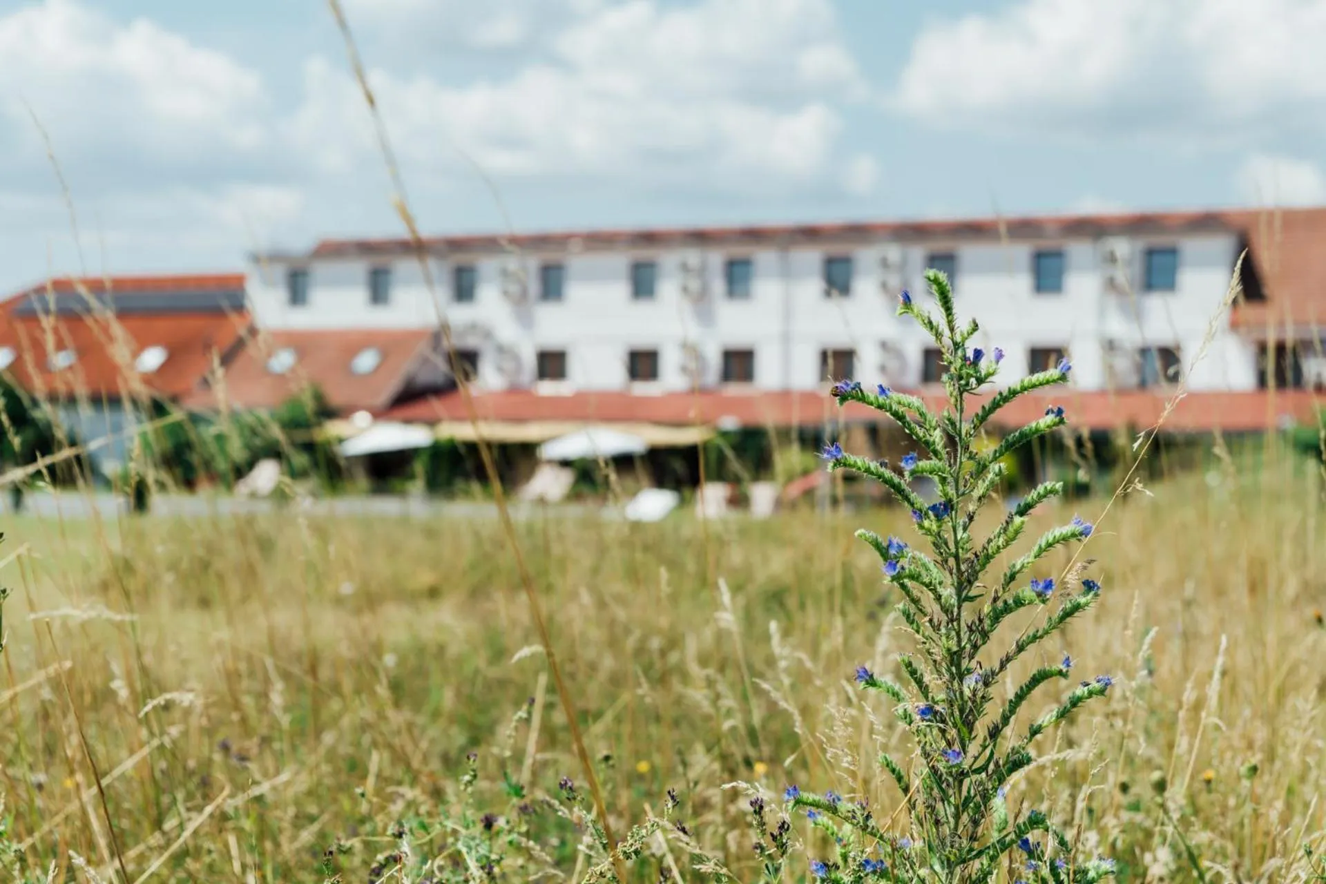 Property building in Hotel Maroli Mikulov