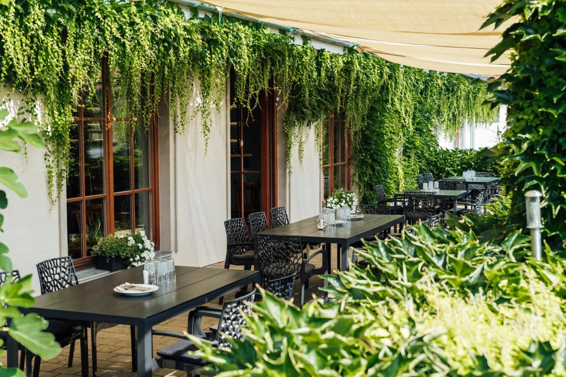 Restaurant/places to eat in Hotel Maroli Mikulov