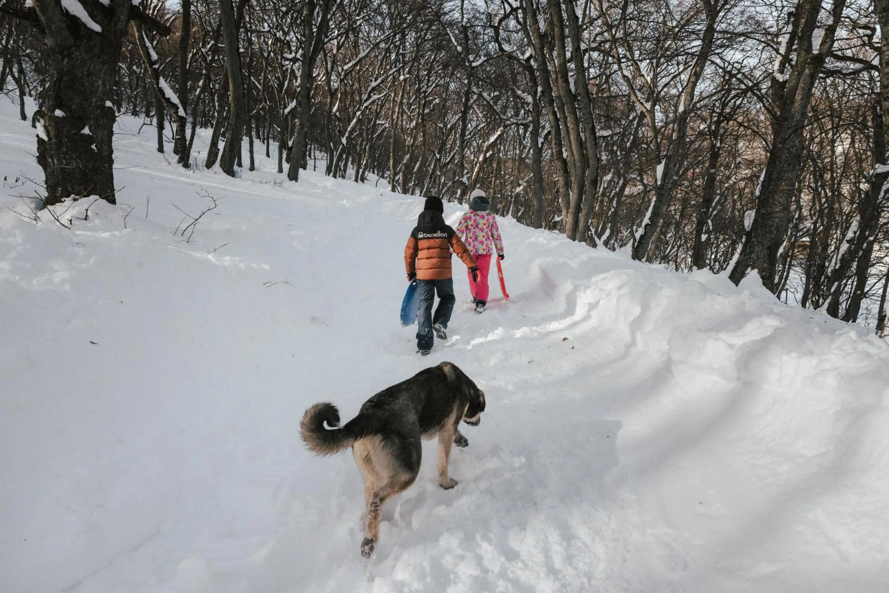 Winter in Kiketi Farm Hotels